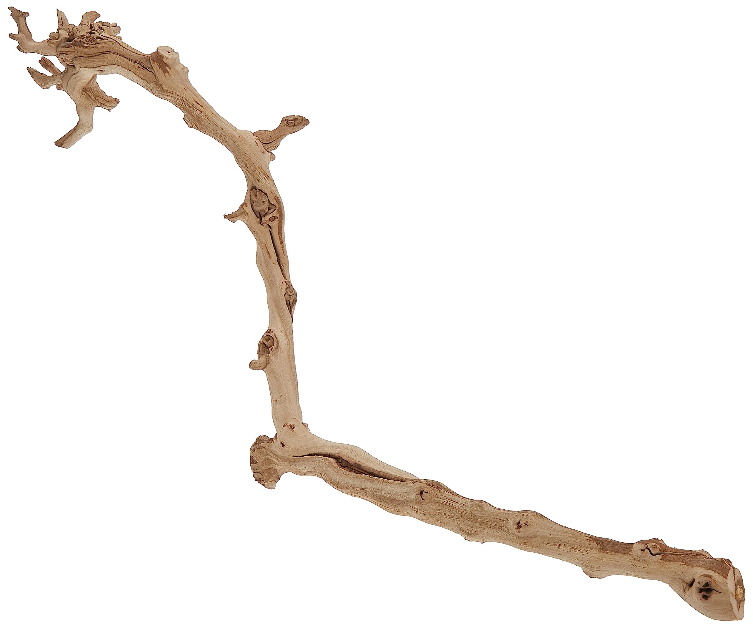 Exo Terra Large Forest Branch - Natural Wood, Model PT3077A1 for Terrariums