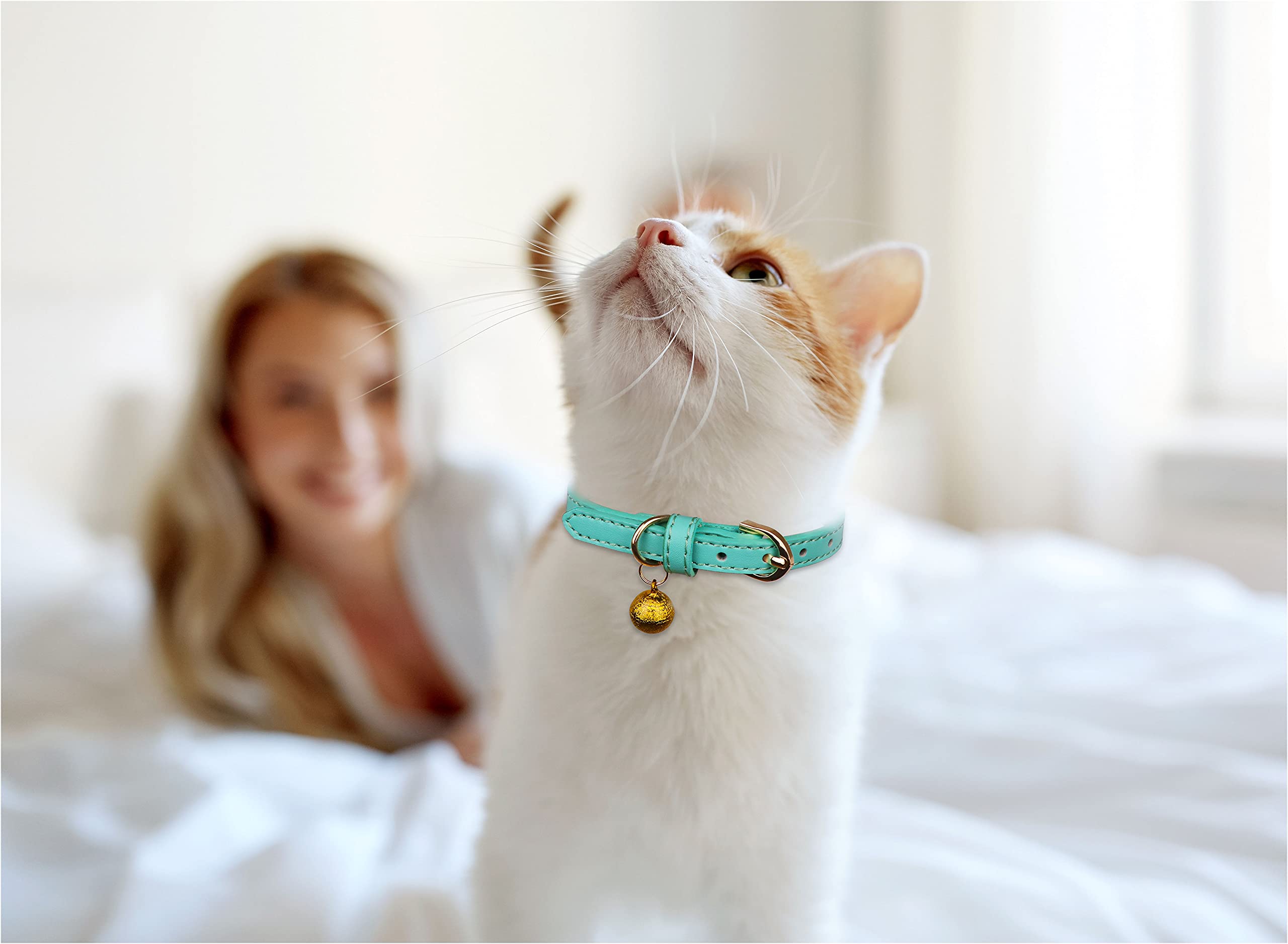 Jamktepat 3 Pack Leather Cat Collars With Bells Soft Pet Safety Collar Kitten Collars With Bell Orange Yellow Mint Green(Xs)