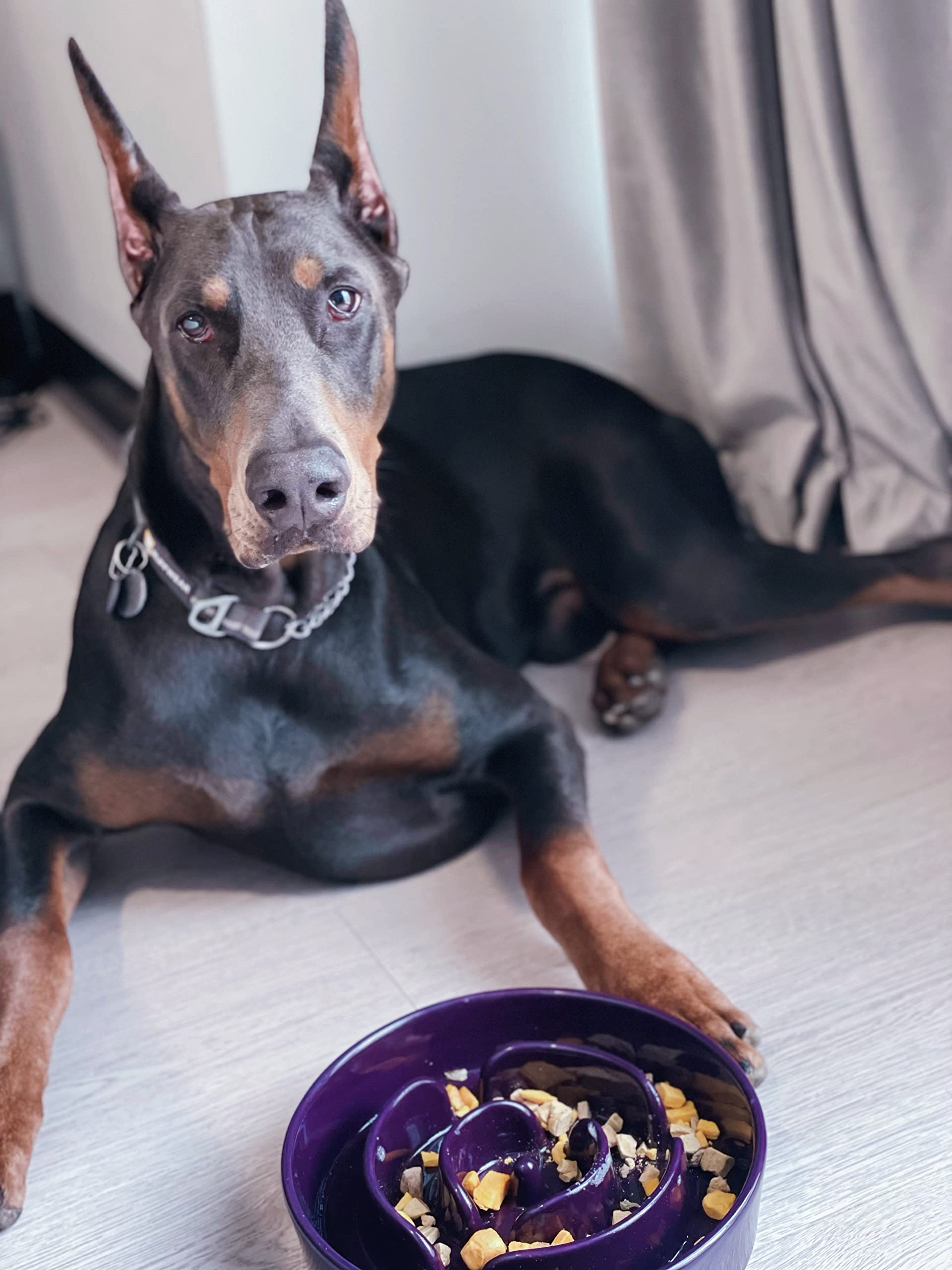 LE TAUCI Slow Feeder Dog Bowl, Ceramic 3 Cups for Medium Large Breeds, Maze Purple, Puzzle Design to Slow Down Eating