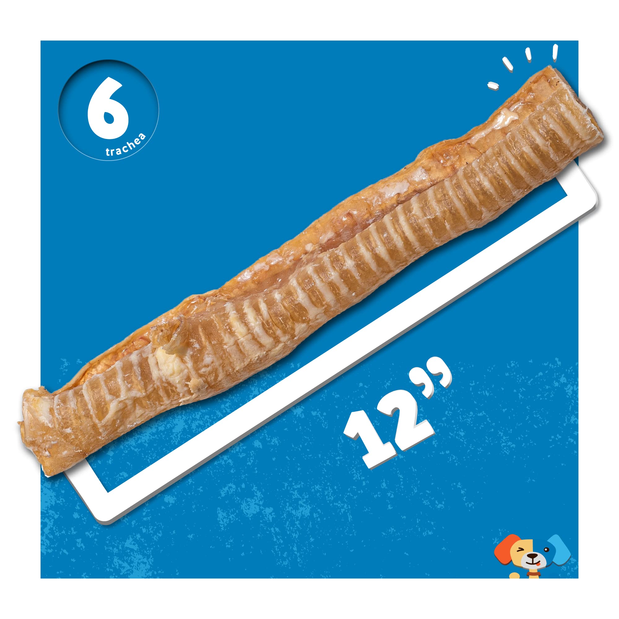 Jack&Pup 6 Inch Trachea Dog Chew | Single Ingredient Beef Trachea Treats for Dogs | Naturally Rich in Glucosamine and Chondroiti