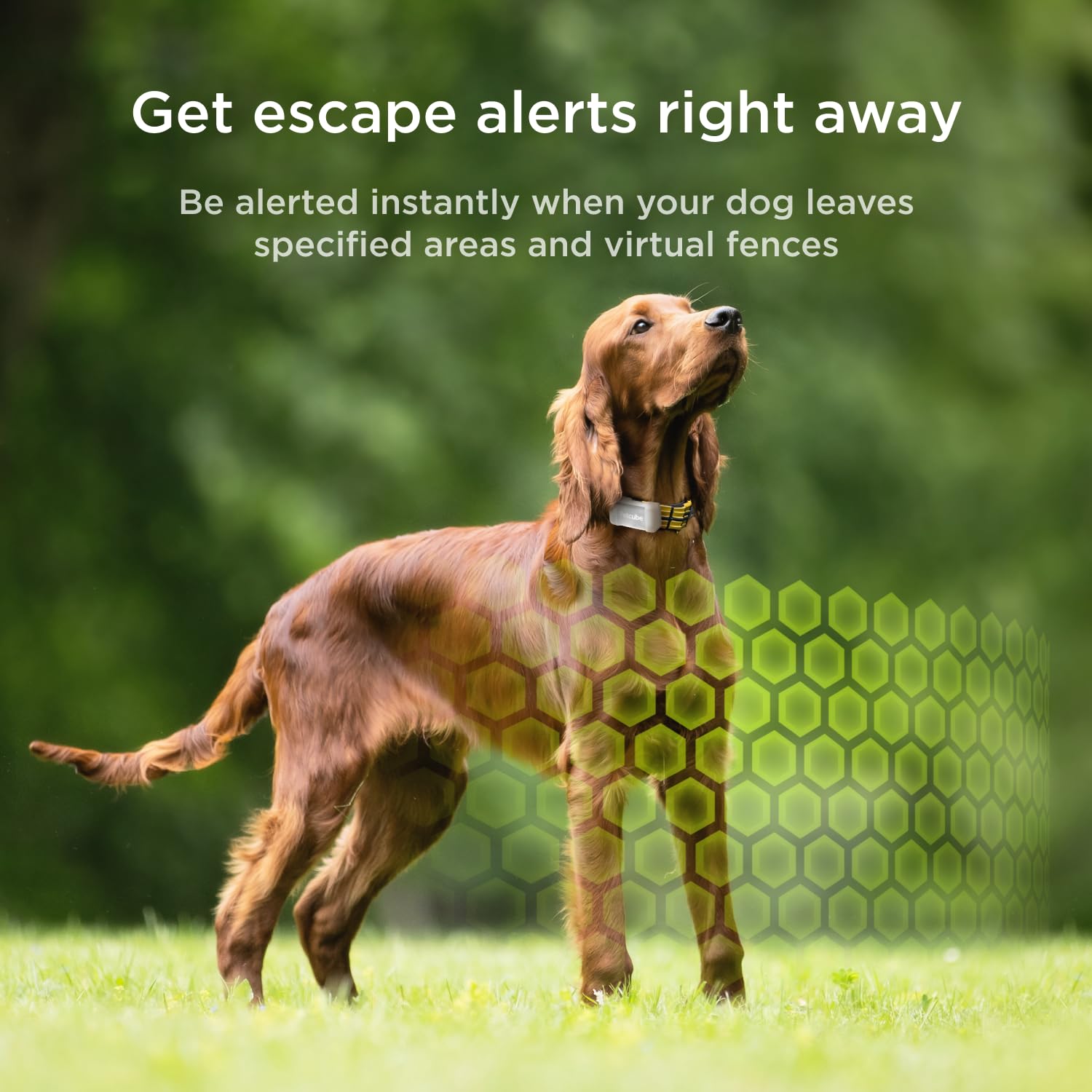 Petcube GPS Tracker for Dogs - Escape Alerts, Virtual Fences, Activity Monitoring, Water & Dust Proof, Model 13-LC6F-PCX9