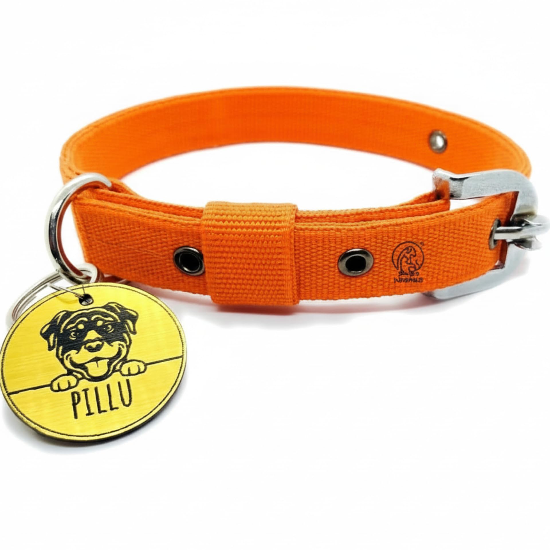 Pawpro Adjustable Nylon Dog Collar With Secure DRing From Small  Medium To Large Breeds (Orange, Medium)