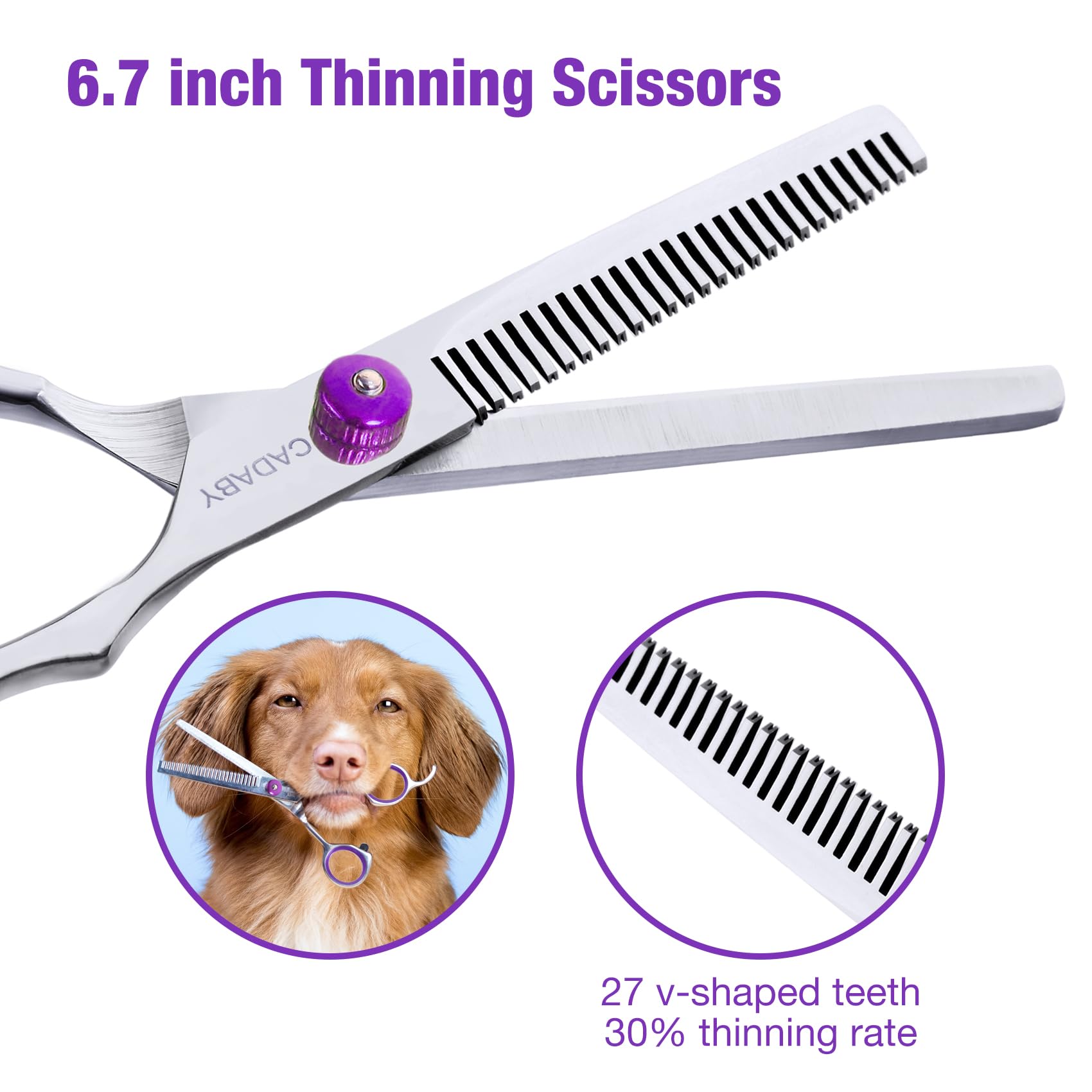 CADABY Professional Dog Grooming Scissors with Safety Round Tips, 5 in 1 Dog Grooming Scissors Kit, 4CR Stainless Steel Pet Groo