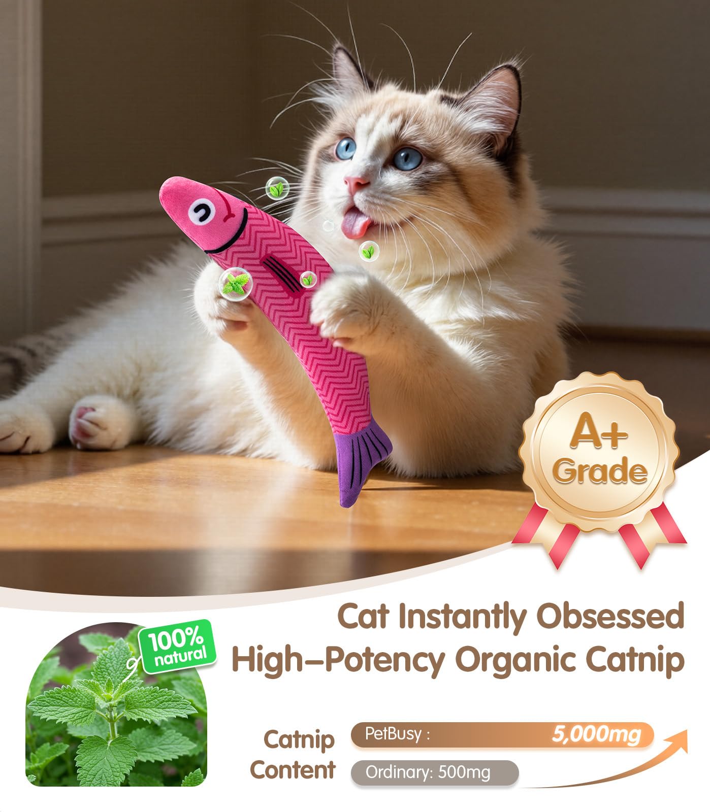Interactive Cat Toys with[5000mg Premium A+Catnip &Silvervine][Baby Grade] Soft Chew Kicker Cat Toys for Indoor Cats & Kittens,