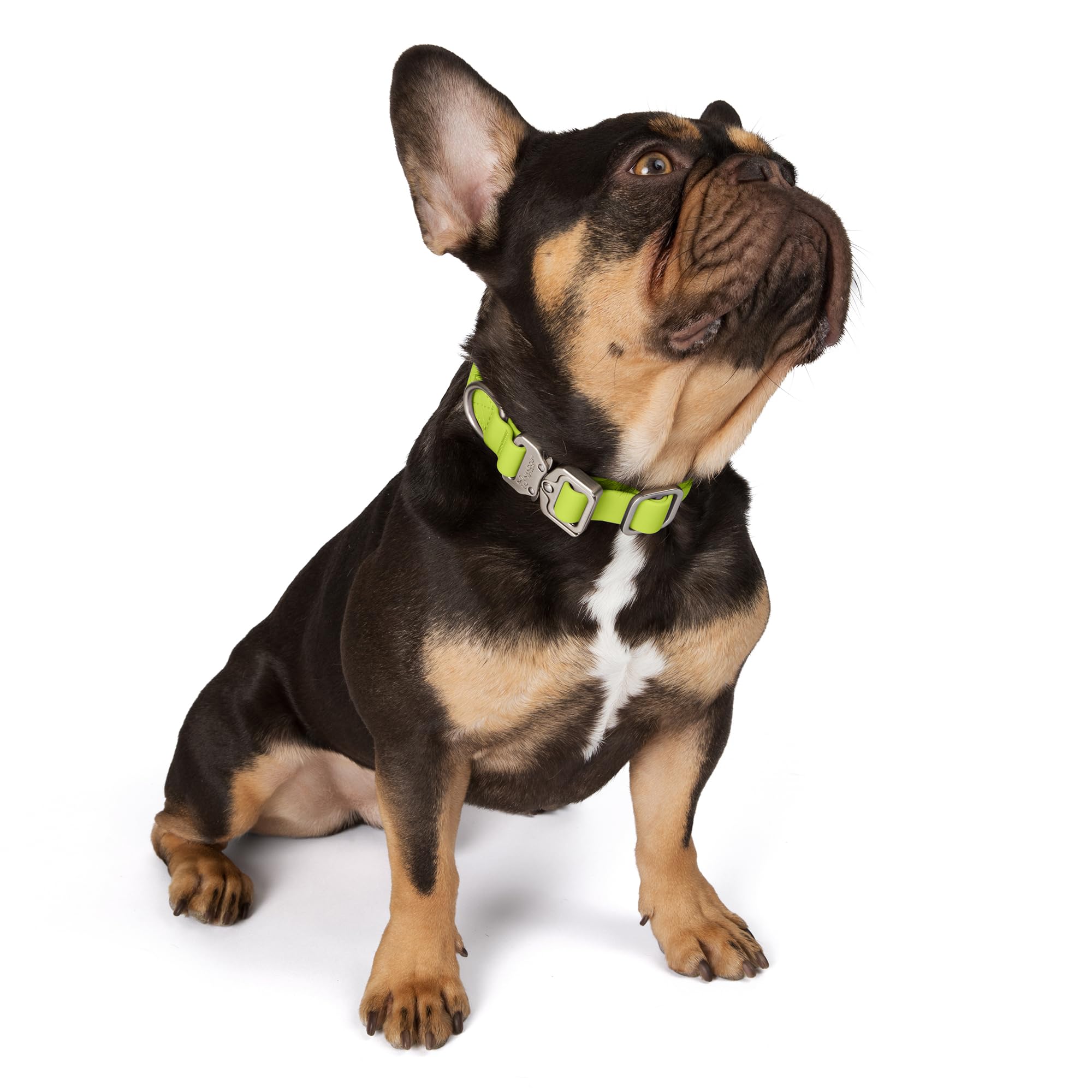 Nandog The Signature Collection Waterproof Poly-Flex Sport Dog Collar In Large, Neon Green - Durable & Adjustable Design - Comfo