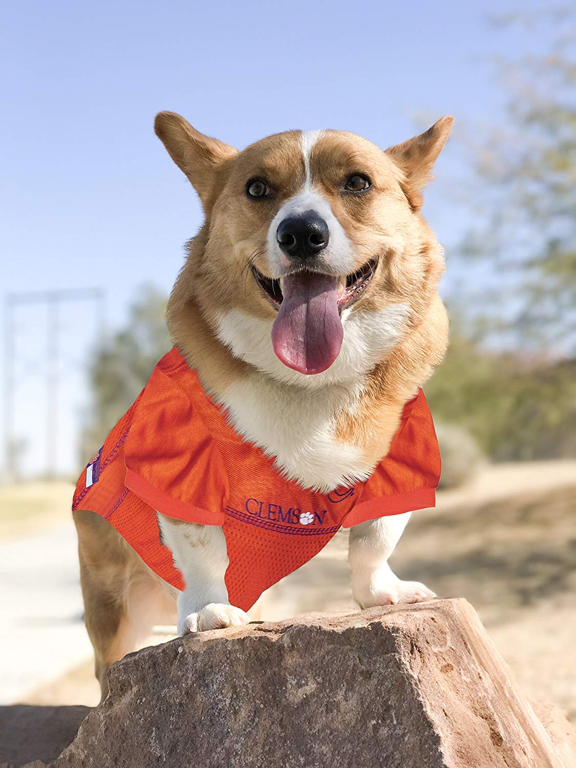 Pets First NCAA College Clemson Tigers Mesh Jersey for DOGS & CATS, Size X-Large, Licensed Dog Jersey with your Favorite Footbal