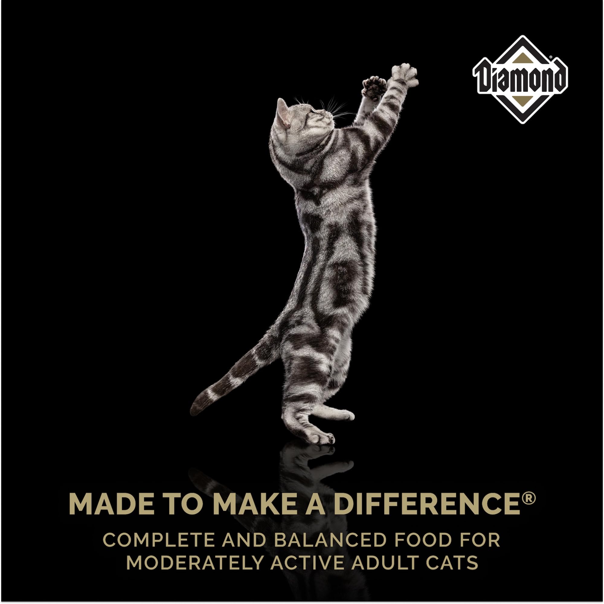 Diamond Adult Dry Cat Food Maintenance Formula with Protein, Probiotics and Antioxidants