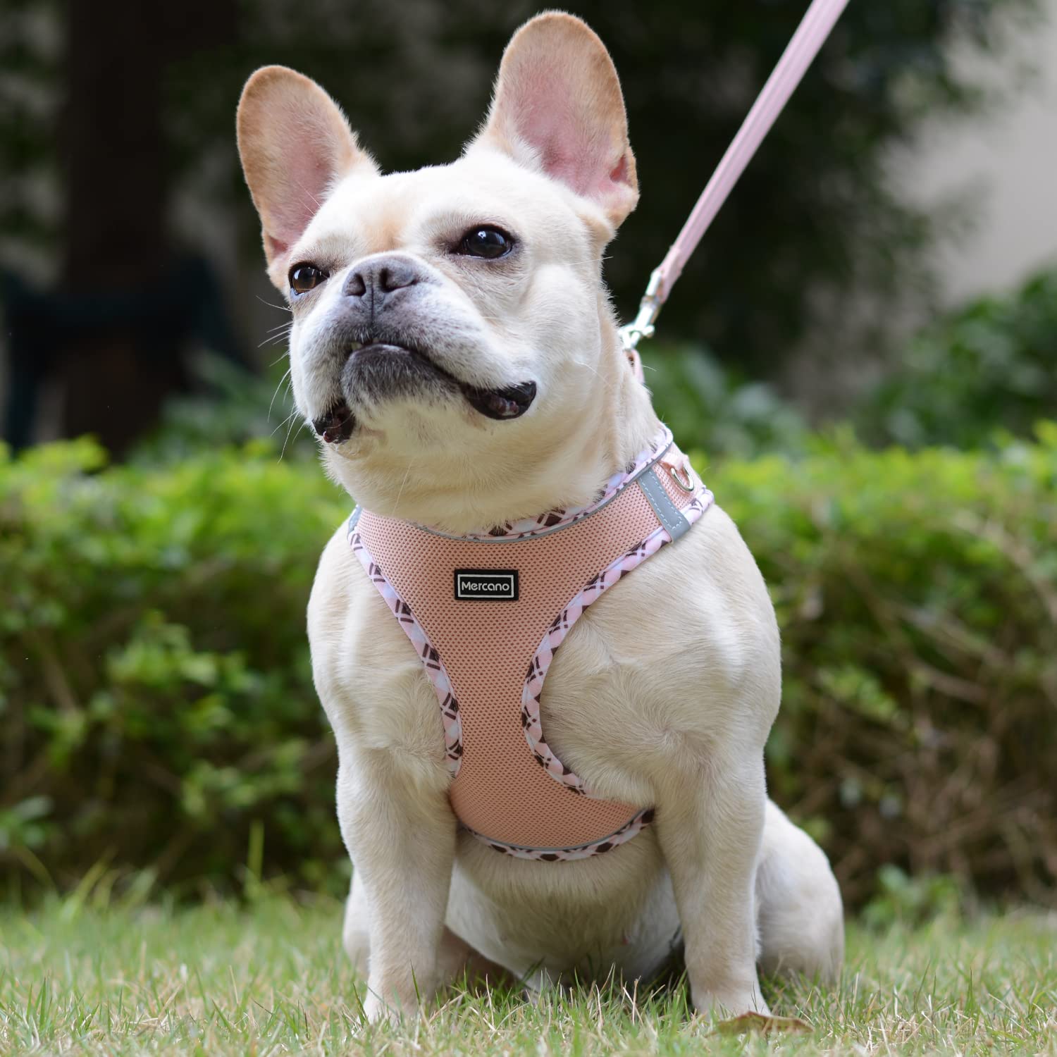 Mercano Soft Mesh Dog Harness and Leash Set, No-Chock Step-in Reflective Breathable Lightweight Easy Walk Vest Harnesses with Sa
