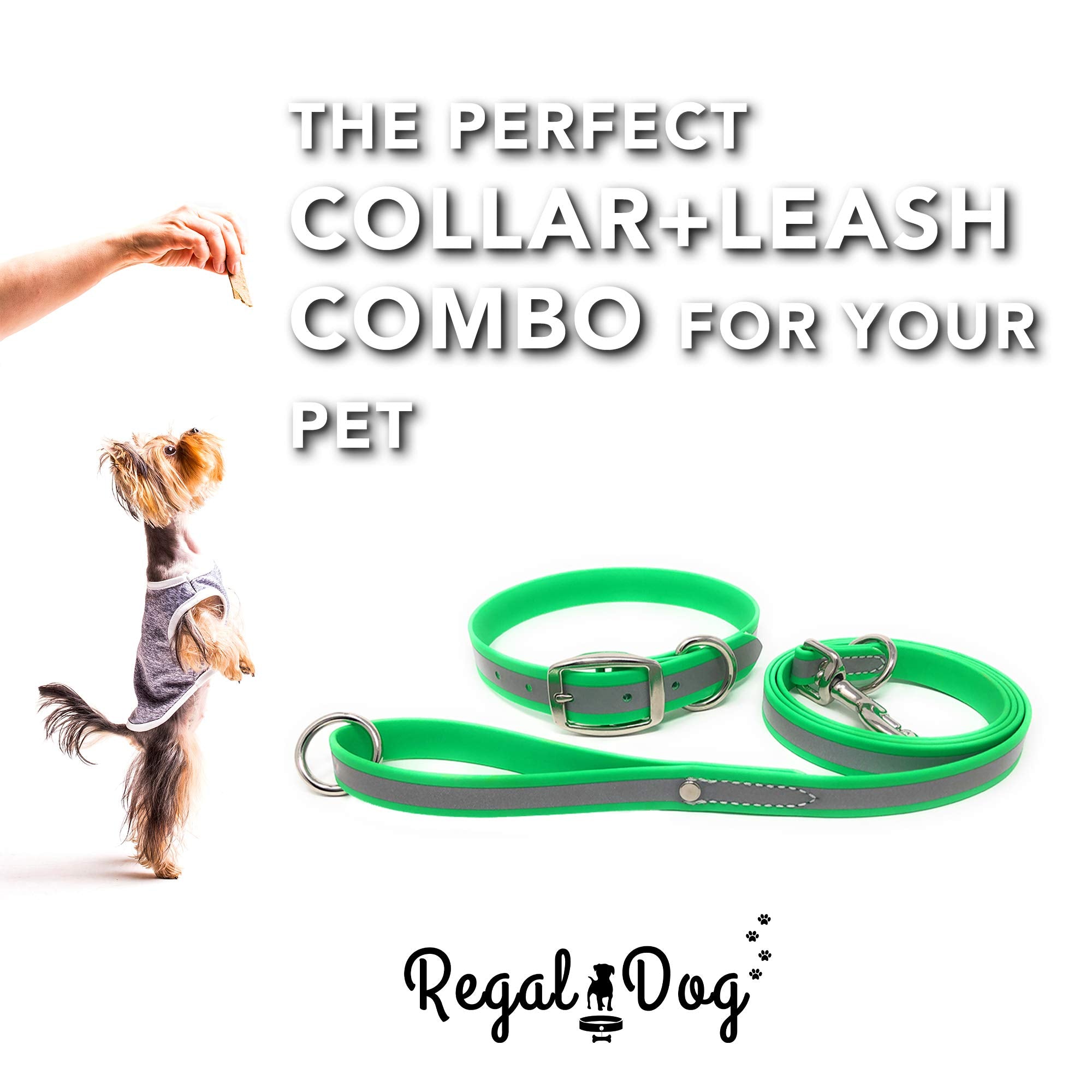 Regal Dog Products Medium Lime Green Reflective Dog Collar And Leash Set - Waterproof Biothane Dog Collar With Heavy Duty Double