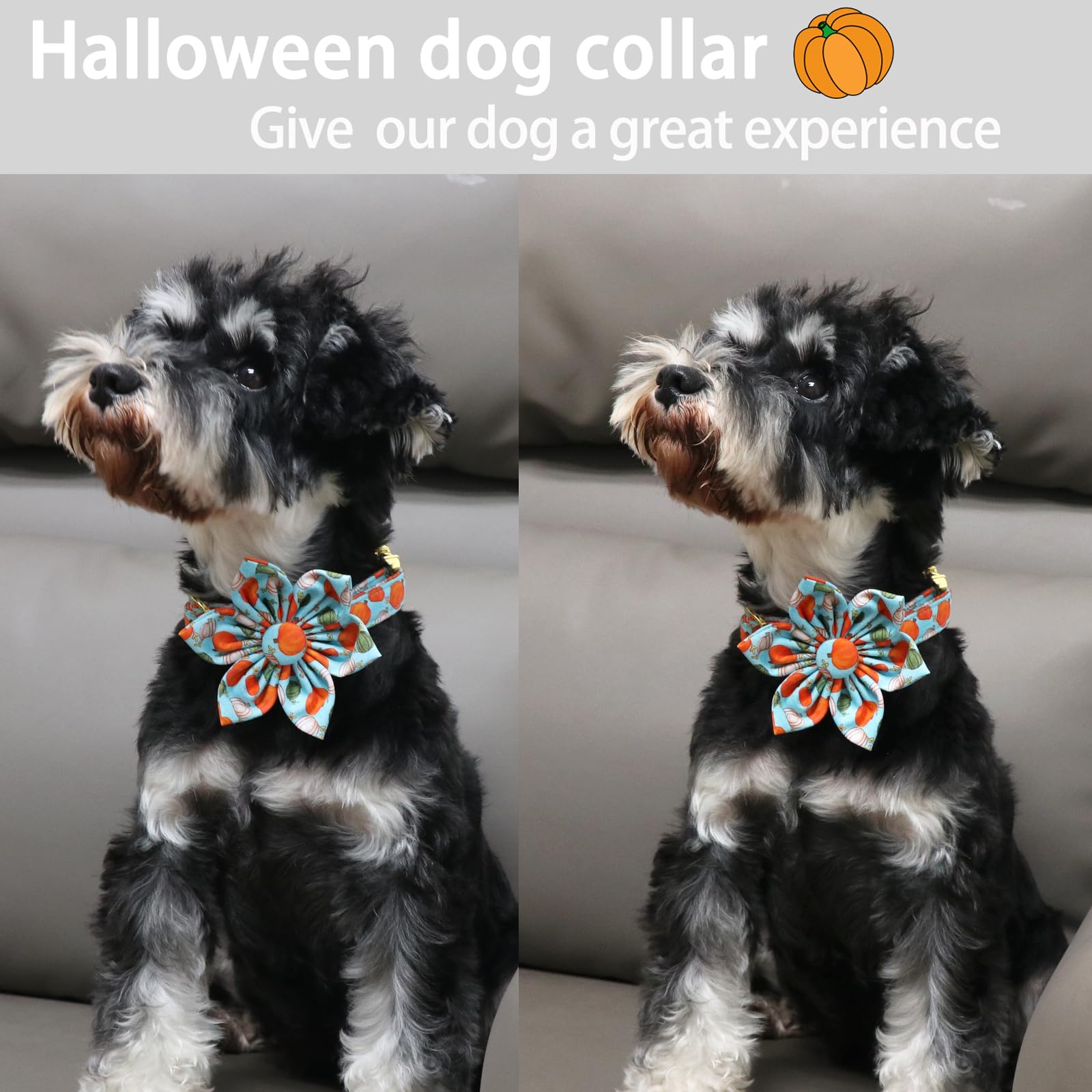 Aring Pet Halloween Dog Collar Cotton Pumpkin Dog Collar With Flower, Adjustable Blue Pumpkin Pet Collars Girl Puppy Collars With Metal Buckle