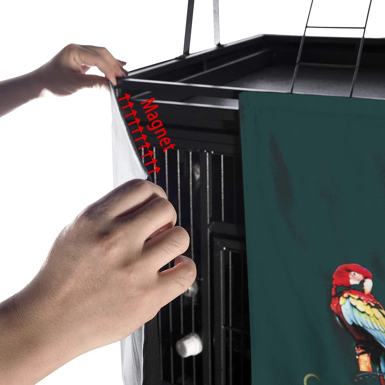 Colorday Good Night Bird Cage Cover For Large Bird Cage With Play Top (Patent Pending),Green 68