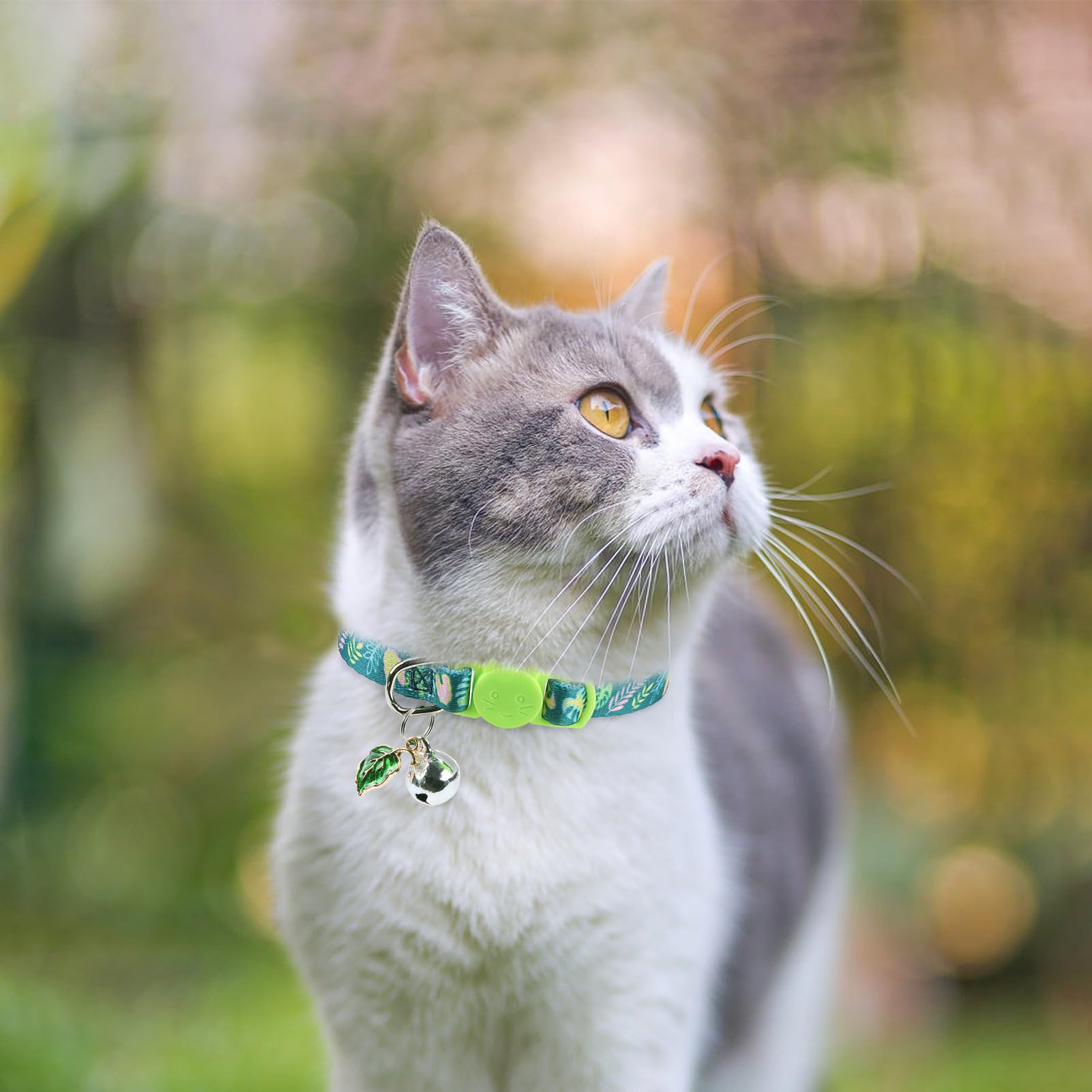 Scenereal Breakaway Cat Collar With Bells, Safety Buckle Soft Adjustable Cute Cats Collars For Summer, Kitten Puppy Personalised