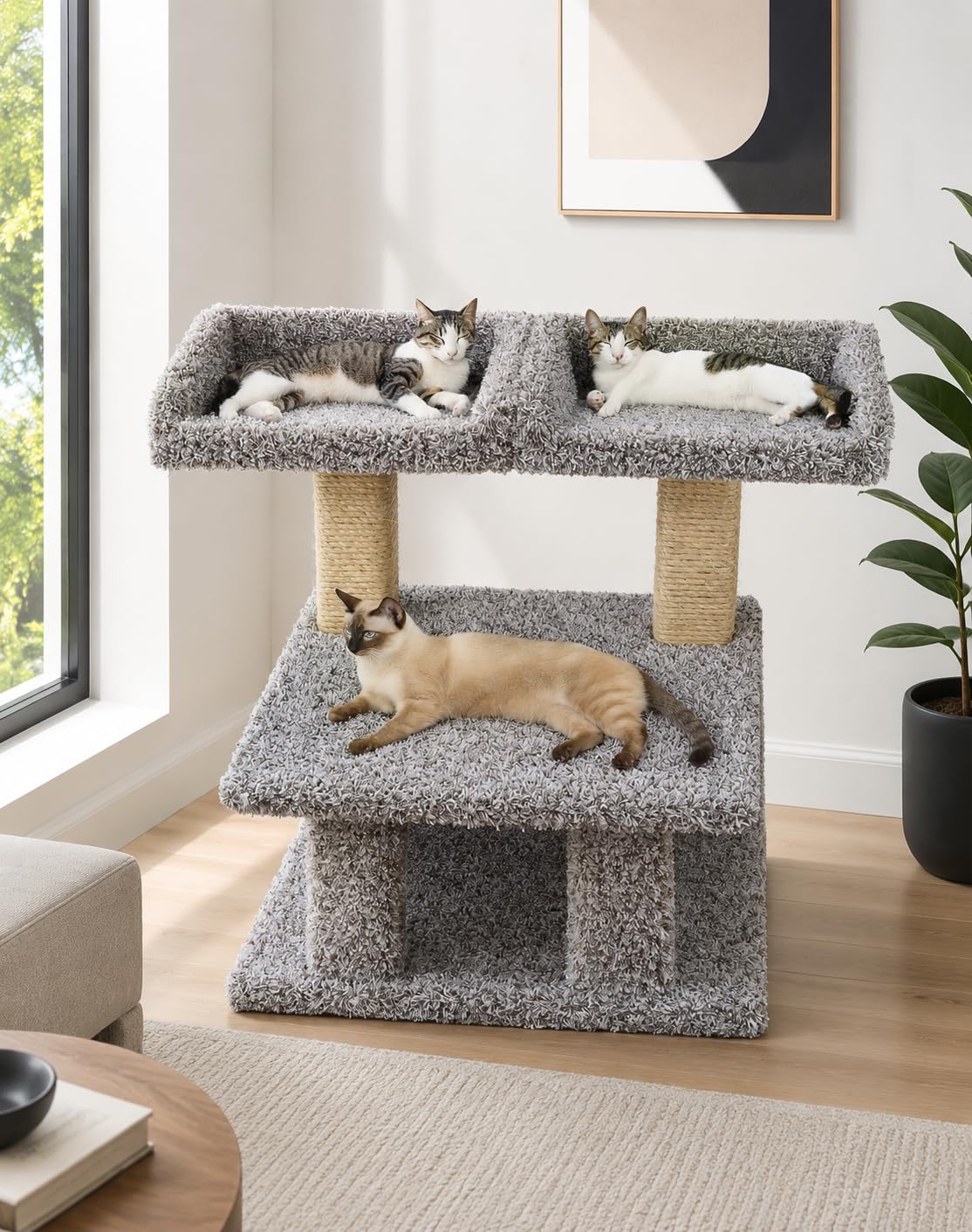 New Cat Condos Extra Large Cat Post with 2 Window Perches