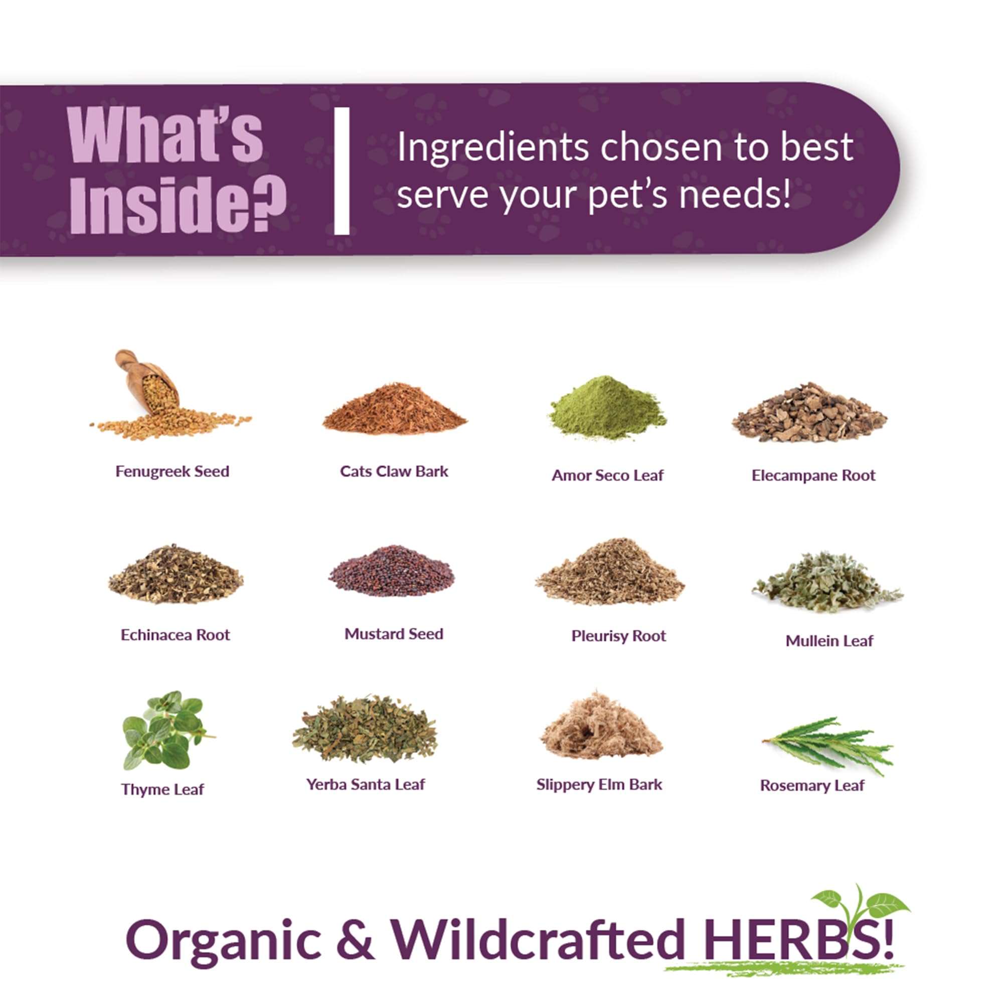 Amber NaturalZ Numo Care C Lung Health Herbal Supplement for Cats | Feline Herbal Supplement for Bronchial Support and Respirato