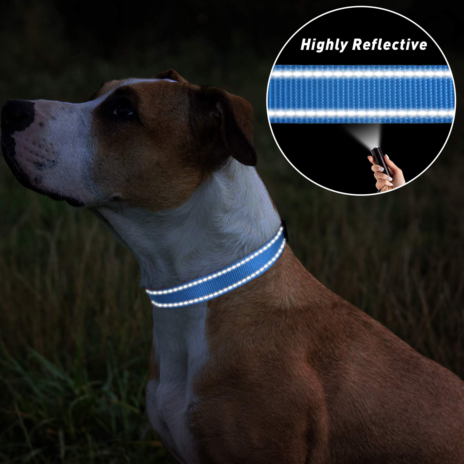 Tagme Reflective Nylon Dog Collars, Adjustable Classic Dog Collar With Quick Release Buckle For Extra Small Dogs, Sky Blue, 5/8' Width