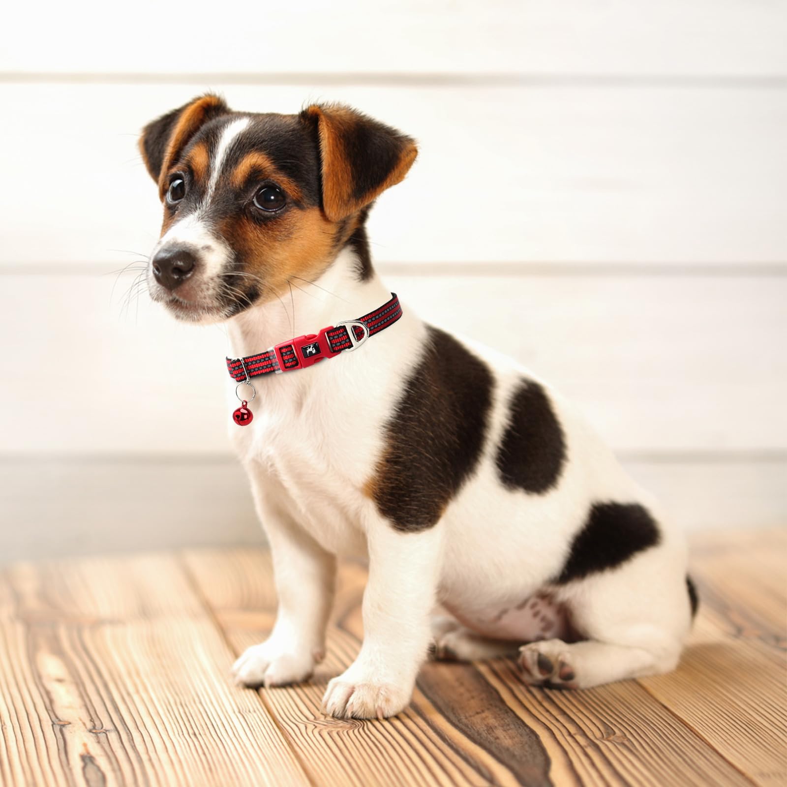Cute Small Dog Collar With Bell - Reflective Puppy Collar Gift For Girl, Adjustable Nylon Collar For Chihuahua Pomeranian Nightt
