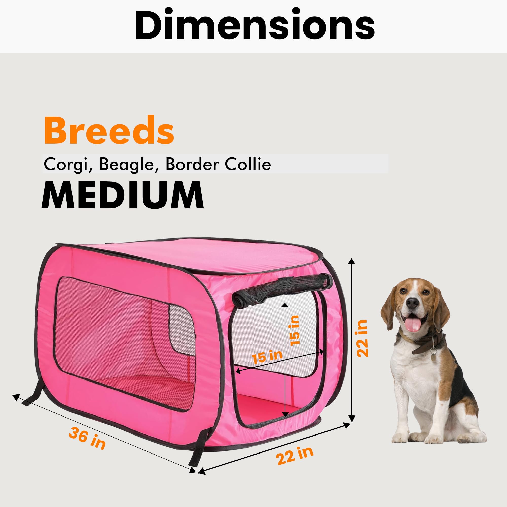 Beatrice Home Fashions Portable, Collapsible, Pop Up Kennel Travel Cat And Dog Crate, 36'' L X 22'' W X 22'' H, Fuchsia