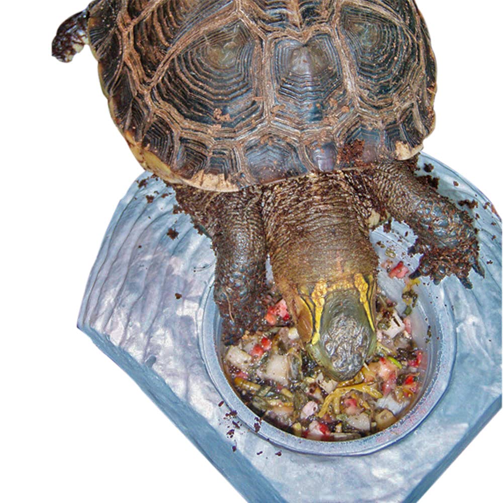 Healthy Herp Box Turtle Food Instant Meal for Reptiles - Nutritious Turtle and Tortoise Food, Habitat Accessories - Made in USA,