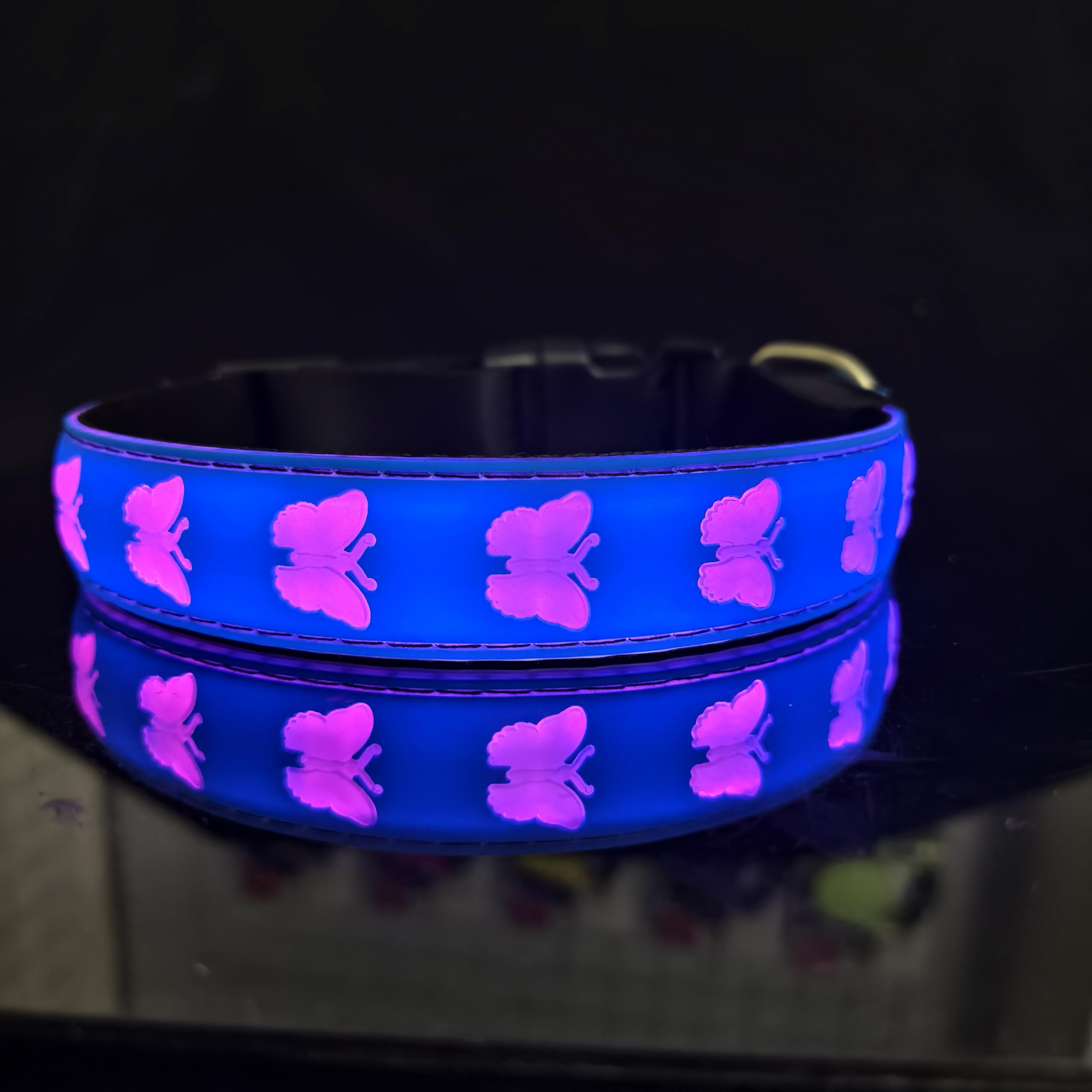 Dogled Usb-C Led Light Up Dog Collar, 3D Design Comfortable And Soft Material,Multicolored Lighting,Night Dog Collar (Bt-Blue, M