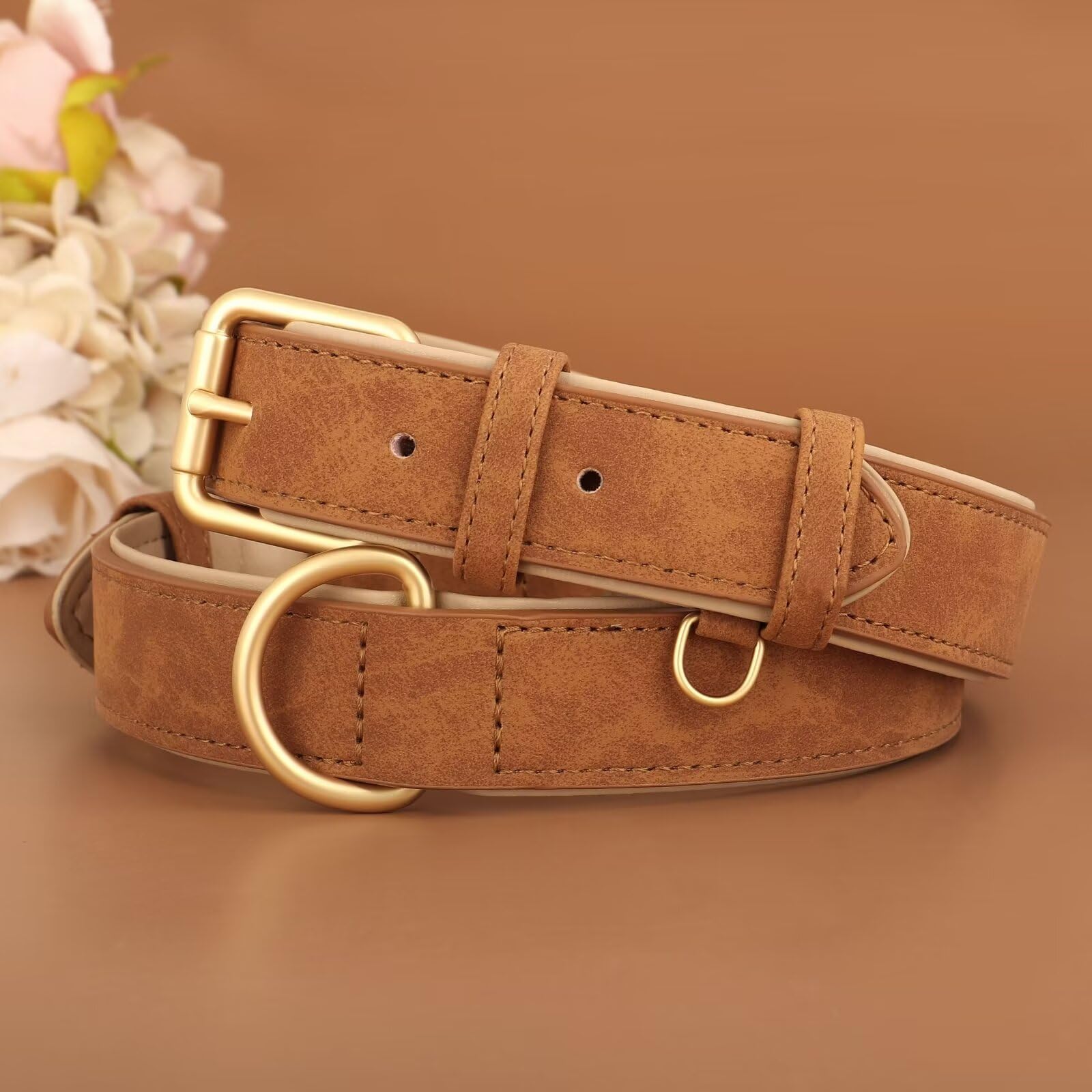 Didog Soft Padded Leather Dog Collar, Adjustable Dog Collars For Medium Dogs With Heavy Duty Metal Buckle And D Ring,Brown,L