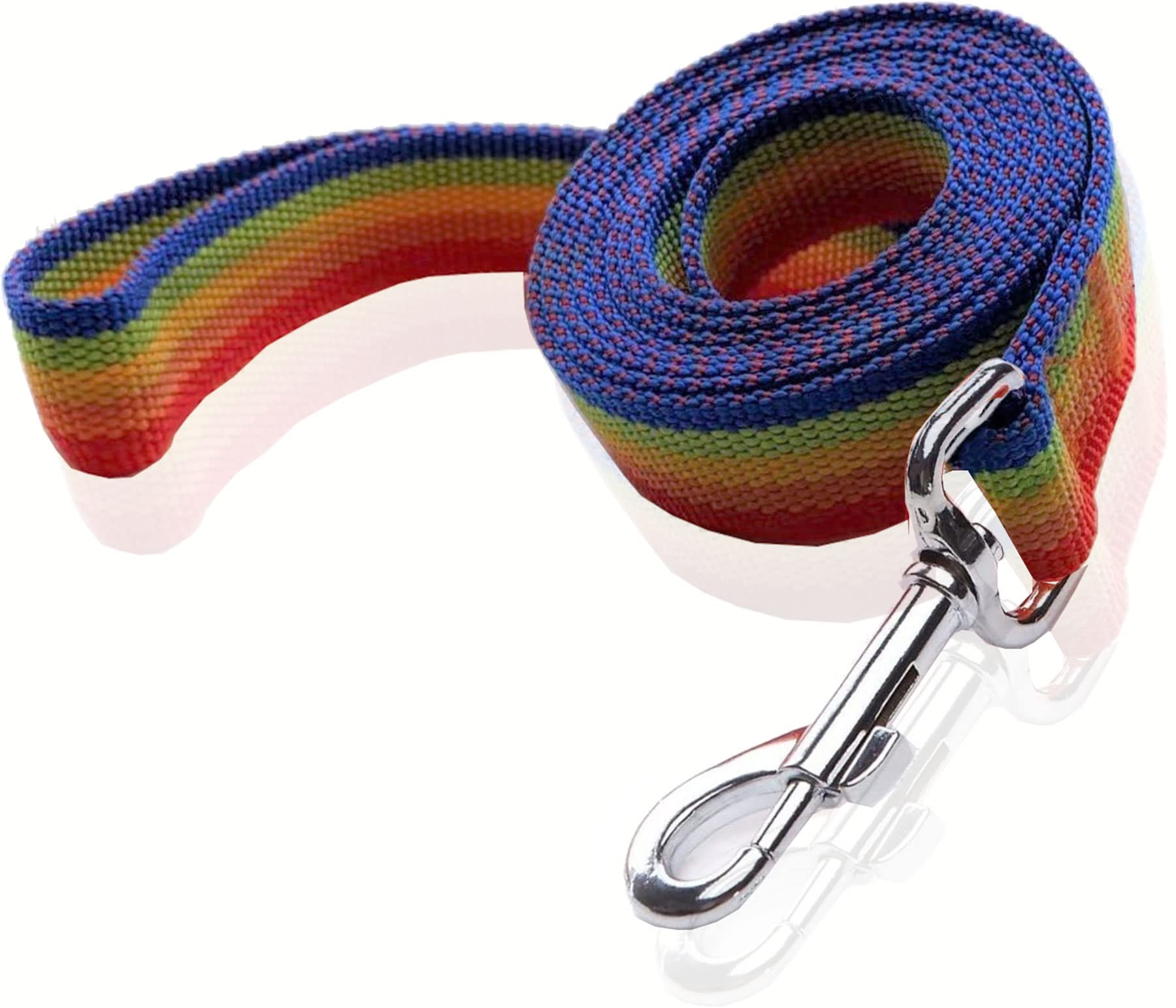 Nylon Dog Leash 16 Feet Long, Walking Training Dog Leashes For Medium Large Dogs(1'' X 16 Ft,Rainbow)