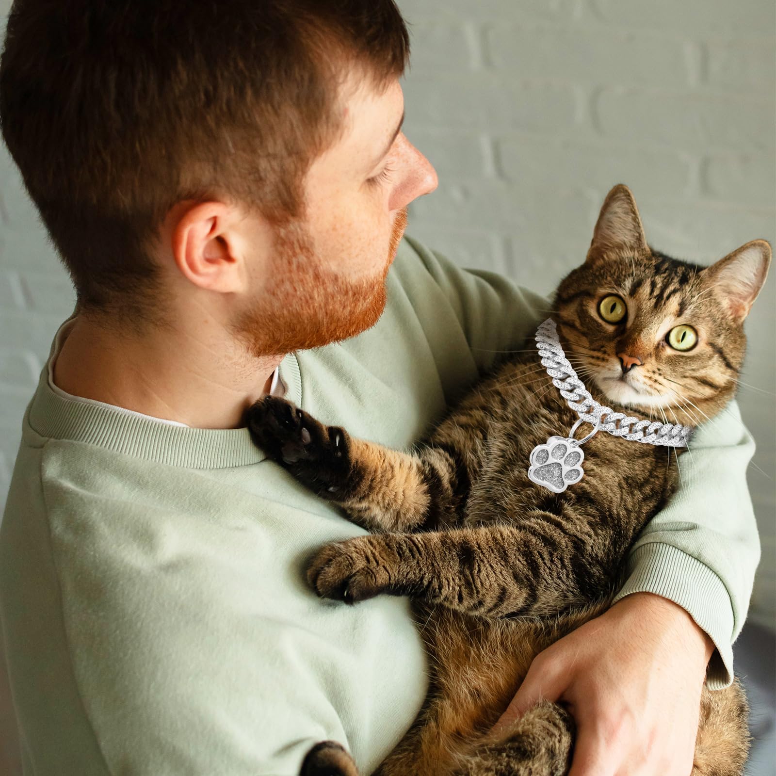 Hillban Cat Collar Diamond Chain Glitter Collar Walking Metal With Secure Buckle Cat Pet Necklace With Paw Charm Link Cuban Jewelry Accessories With Id Tag Bell(10 Inch,Silver)