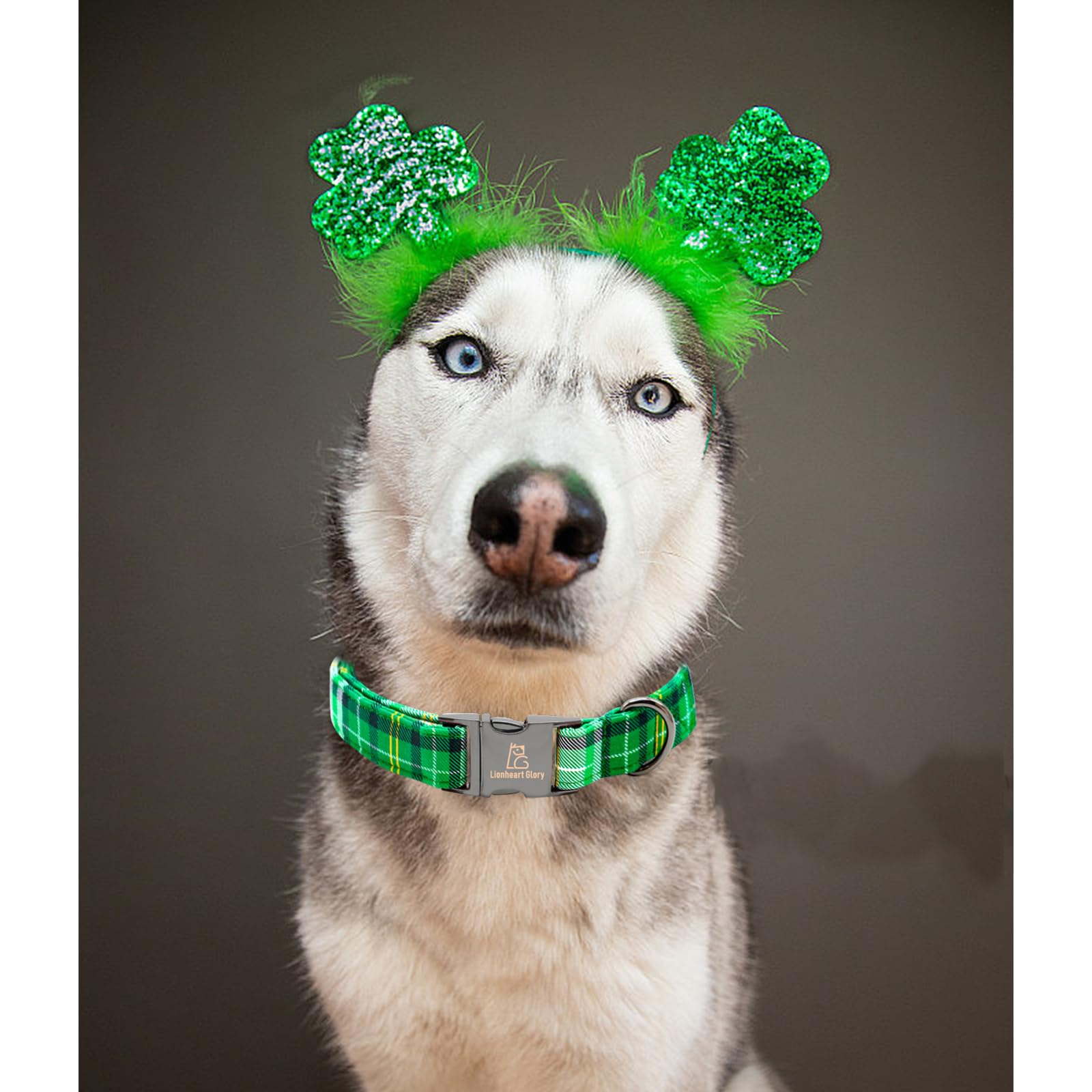 Lionheart Glory St. Patrick'S Day Collar - Green Plaid, Adjustable Heavy-Duty Collar For Small Dogs