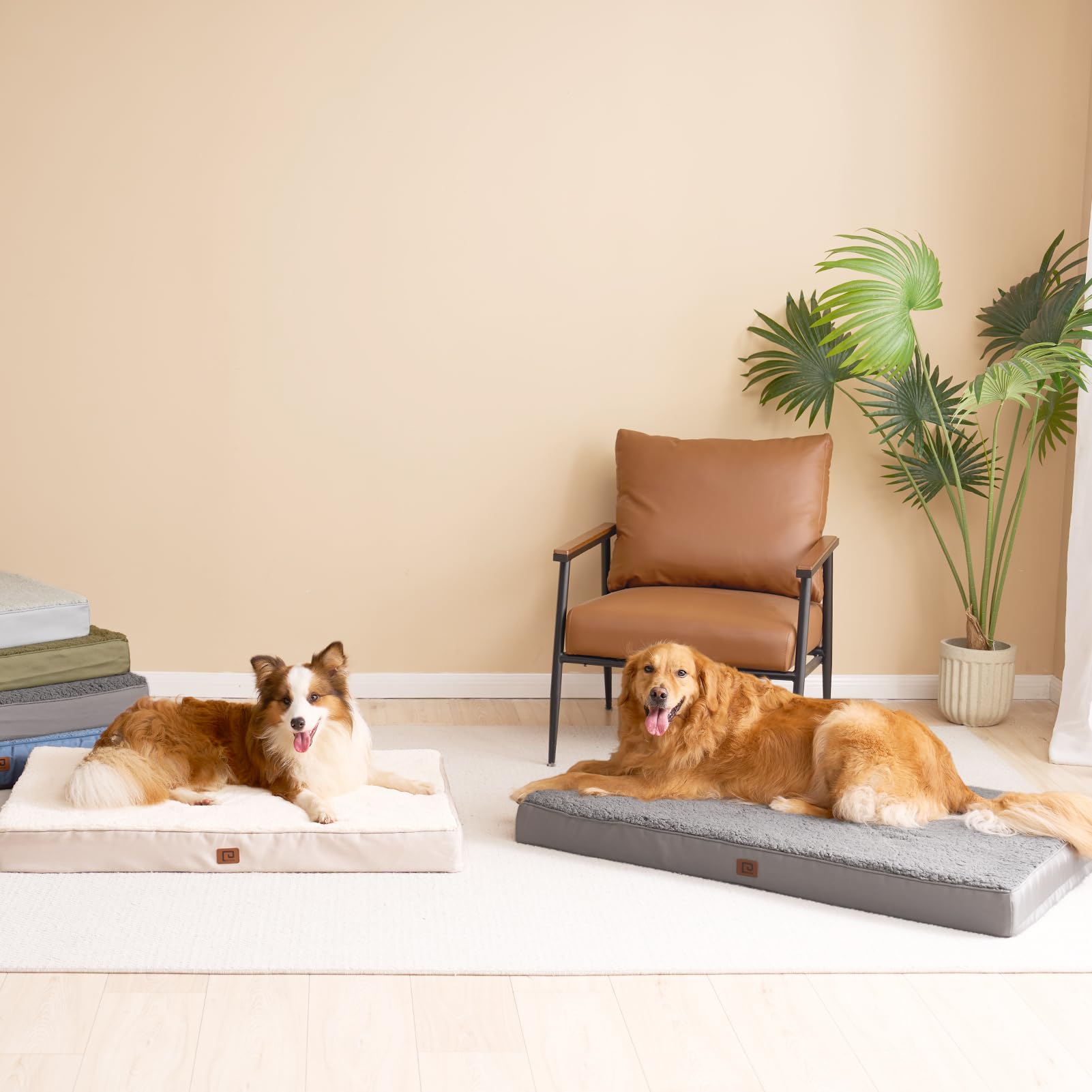 Eheyciga Orthopedic Foam Dog Bed For Large Dogs, 35'L X 23'W X 3.5'Th, Light Grey