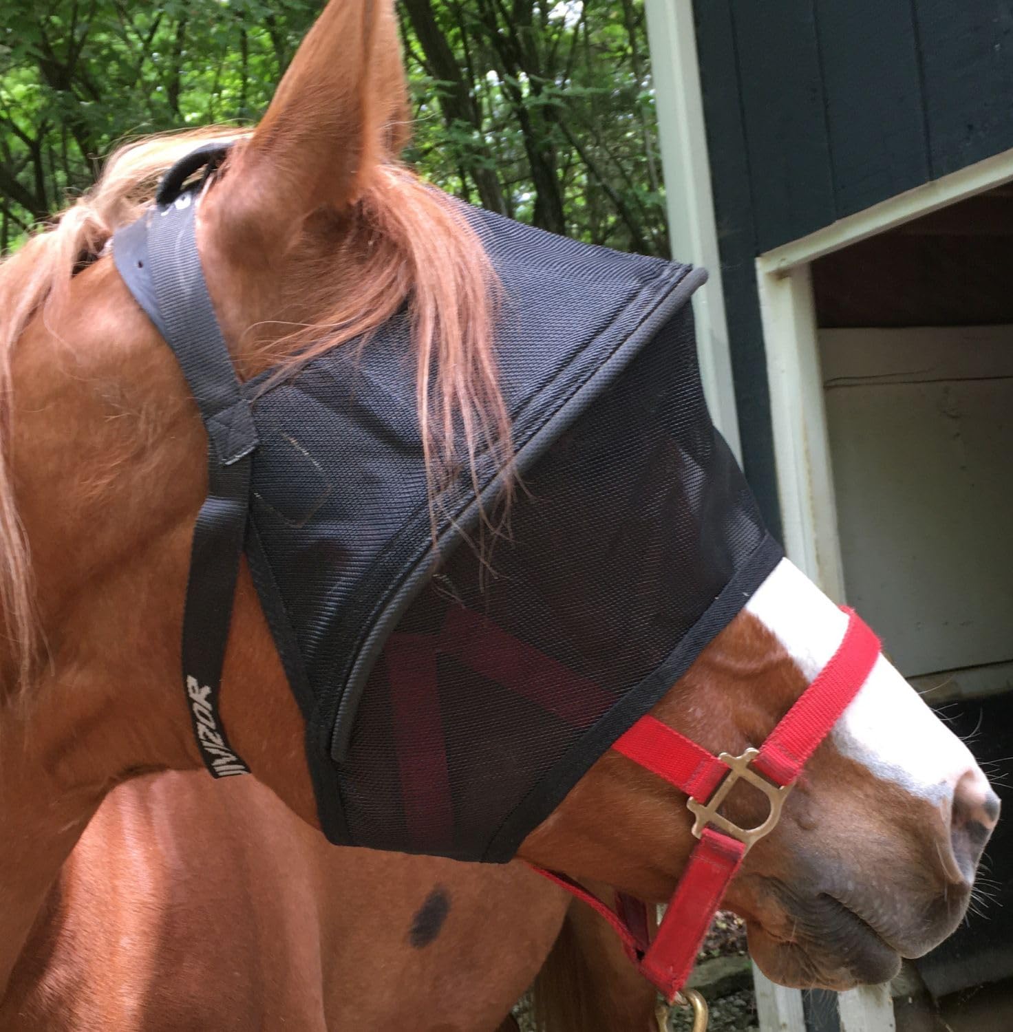 EquiVizor Solar Vizor Horse Fly Mask (Size Full), Superior UV Eye Protection to 99% for Horses with Uveitis, Photosensitivity, U