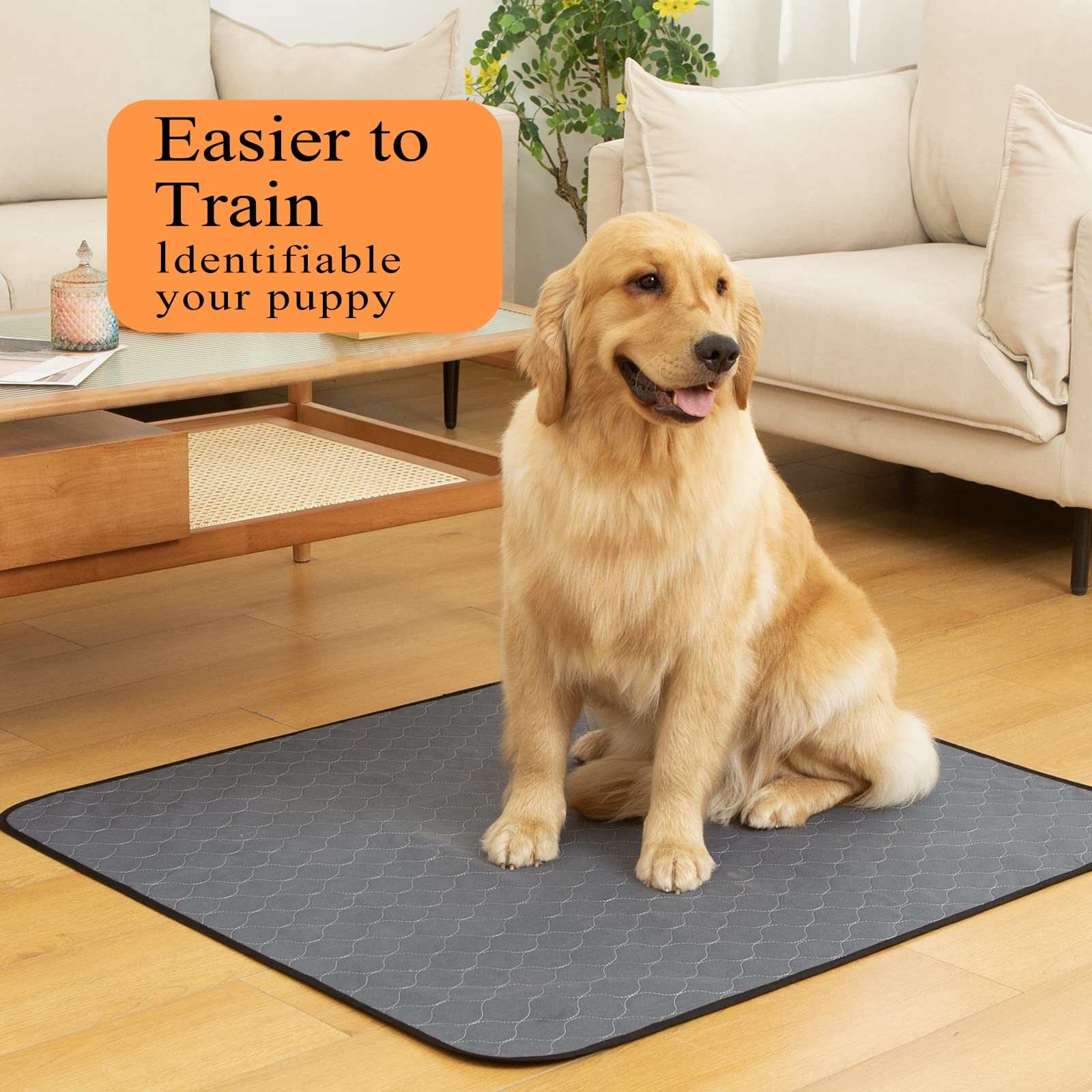 Bunlitent Washable Pee Pads For Dogs 41'' X 41'', 5 Pack, Reusable Puppy Pads, Dog Training Pads With Quick Dry, Large Anti-Slip