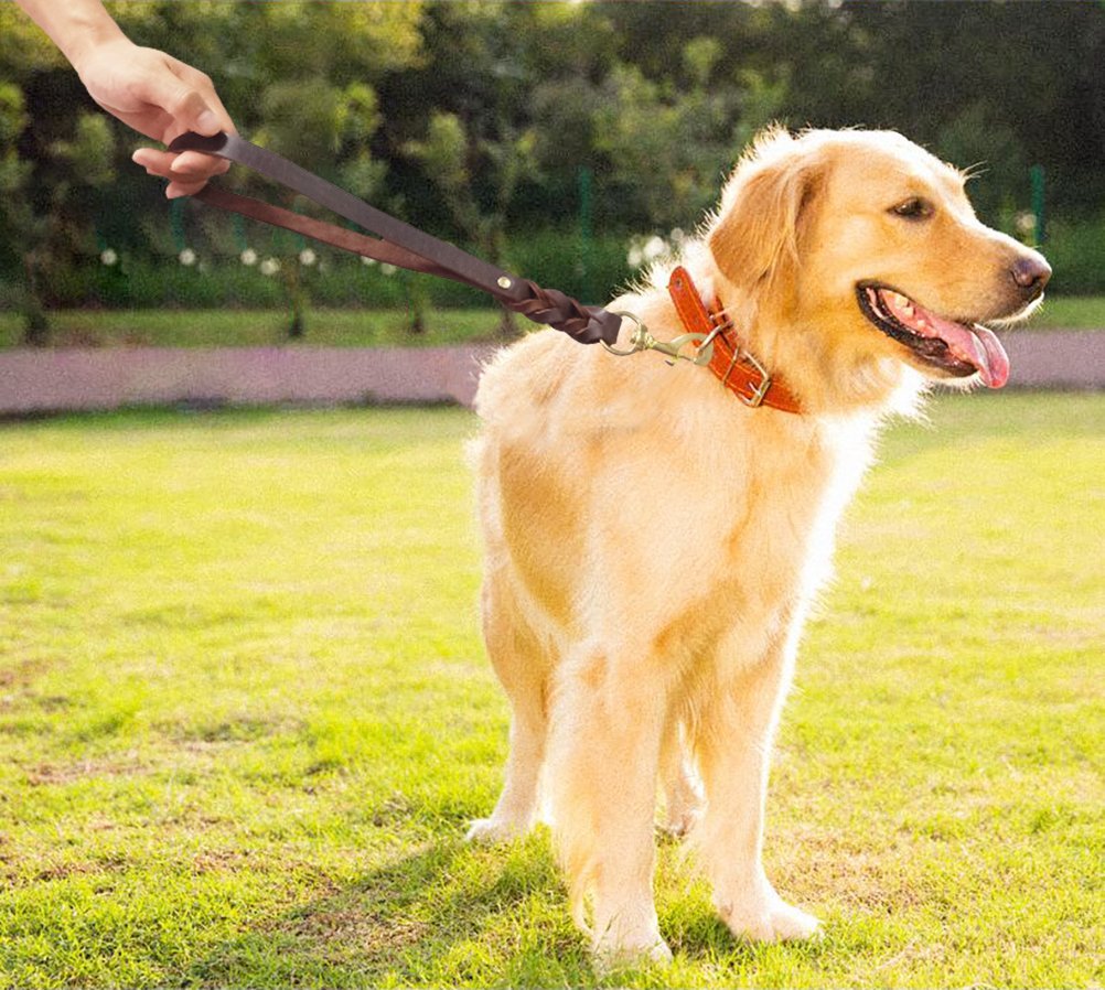 Fairwin Leather Short Dog Leash 16' - Short Dog Traffic Lead Leash For Large Dogs Training And Walking(3/4' X 16', Brown)