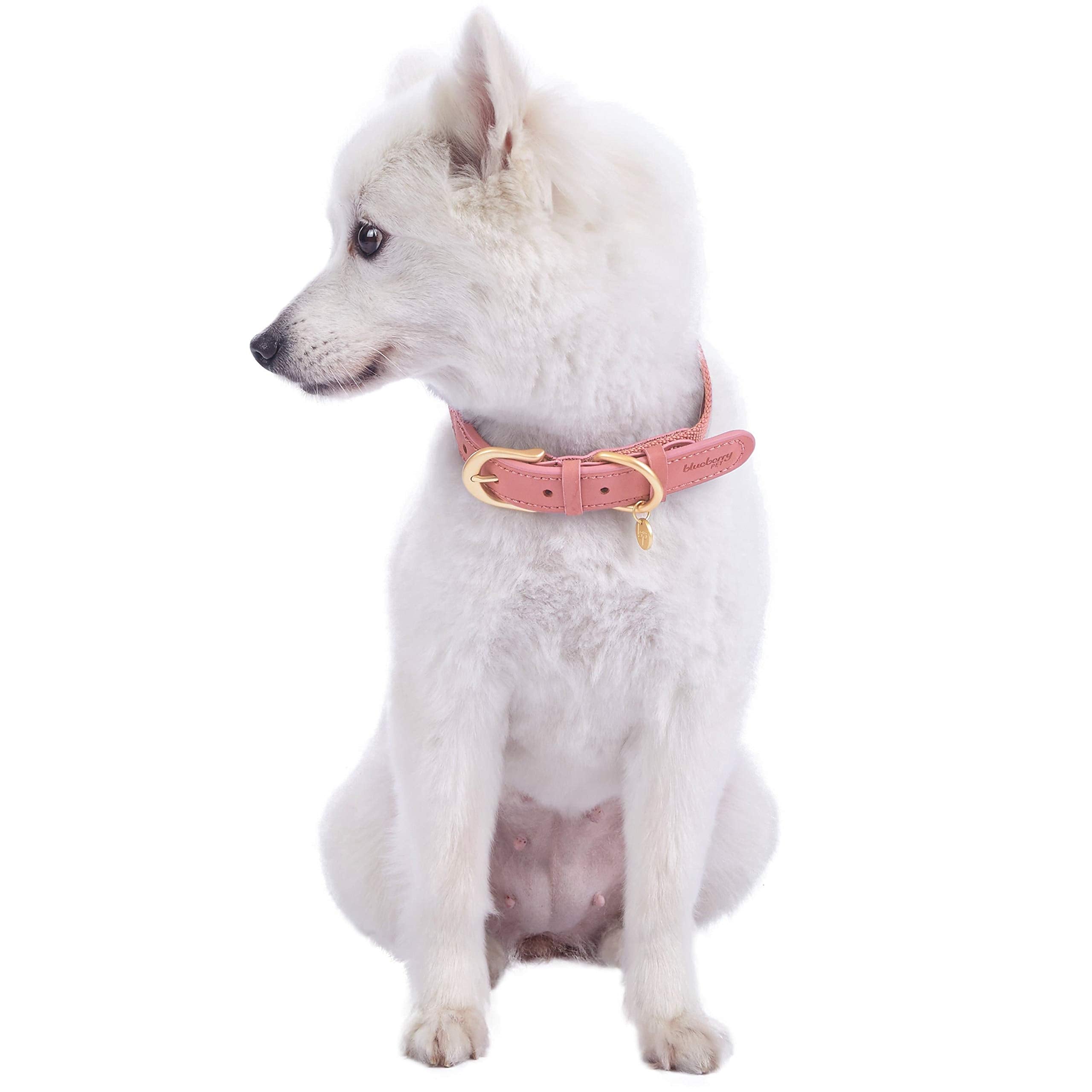 Blueberry Pet Leather Dog Collar For Female Dogs - Pink/Grey Stripes, Medium, 15-18 Neck, Stylish Design
