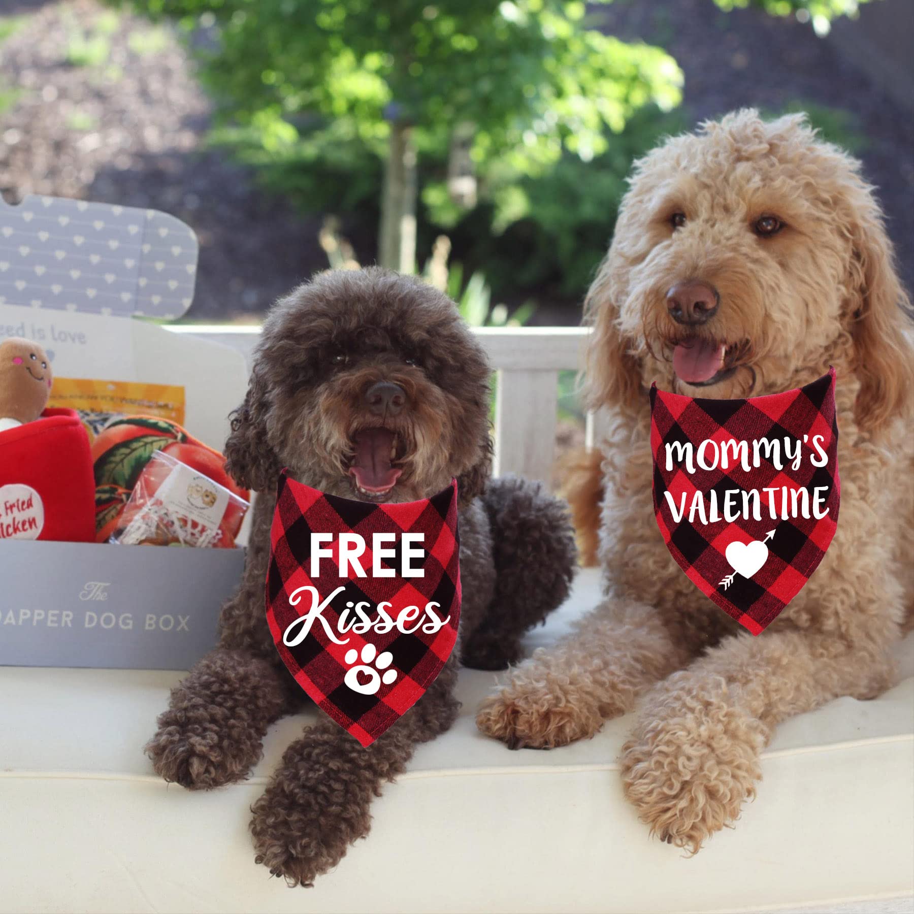 Stmk 2 Pack Valentines Dog Bandanas, Dog Valentines Bandana For Small Medium Large Dogs (Red, Free Kisses & Mommy'S Valentine)