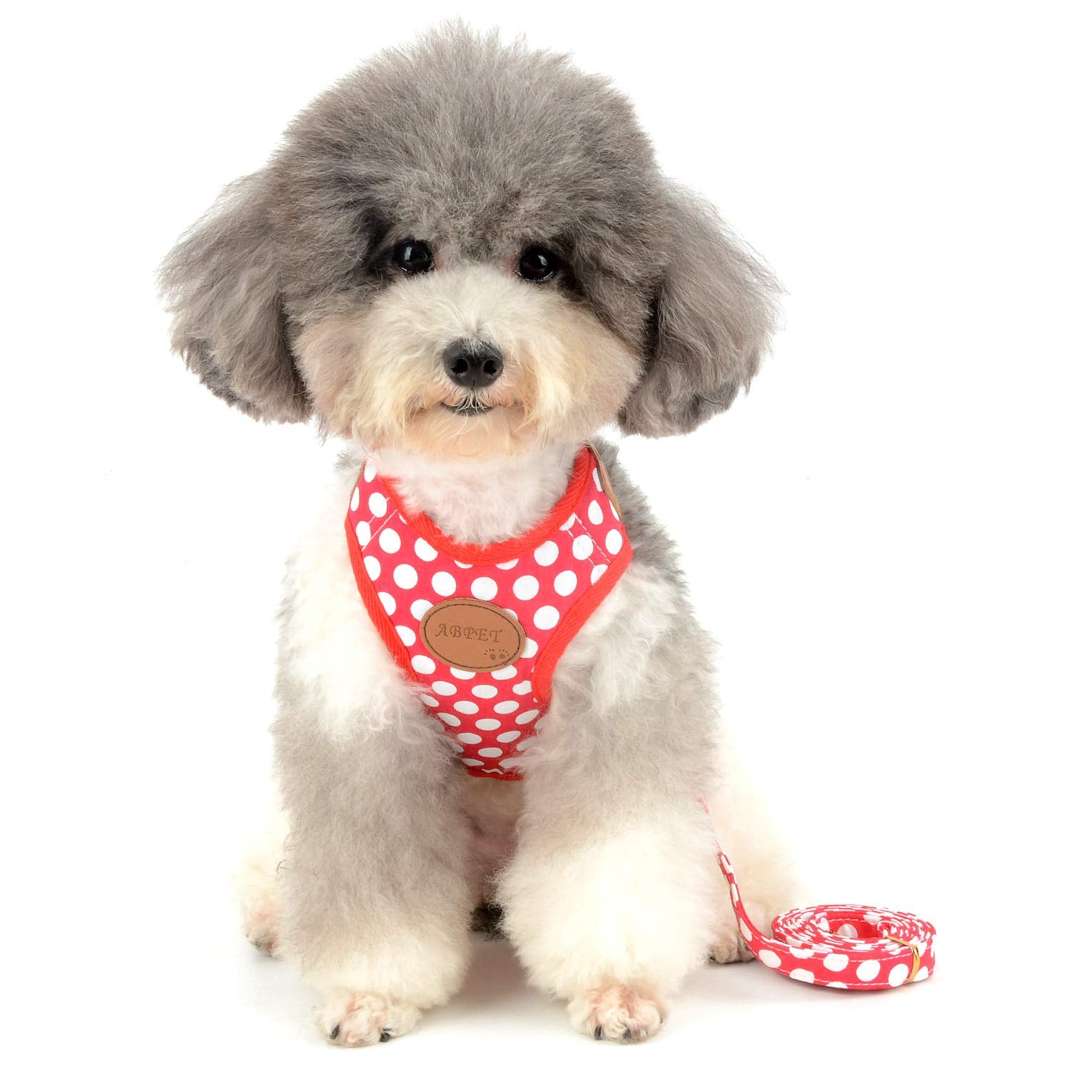 Smalllee_Lucky_Store Cwyp00068-Red-S New Soft Mesh Nylon Vest Pet Cat Small Medium Dog Harness Dog Leash Set Leads ,Red , S