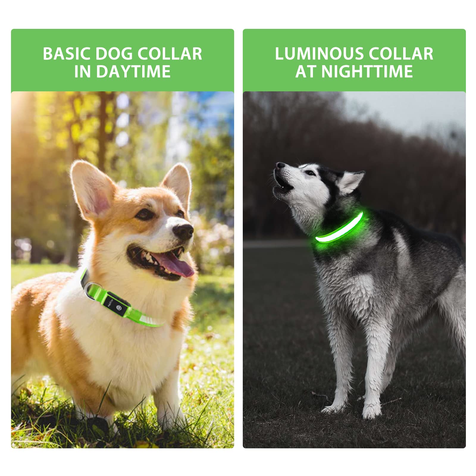 PcEoTllar LED Light Up Dog Collar - Rechargeable, Color Changing, Waterproof, L(19-23.6 inch), Green, Model DC5200RGB