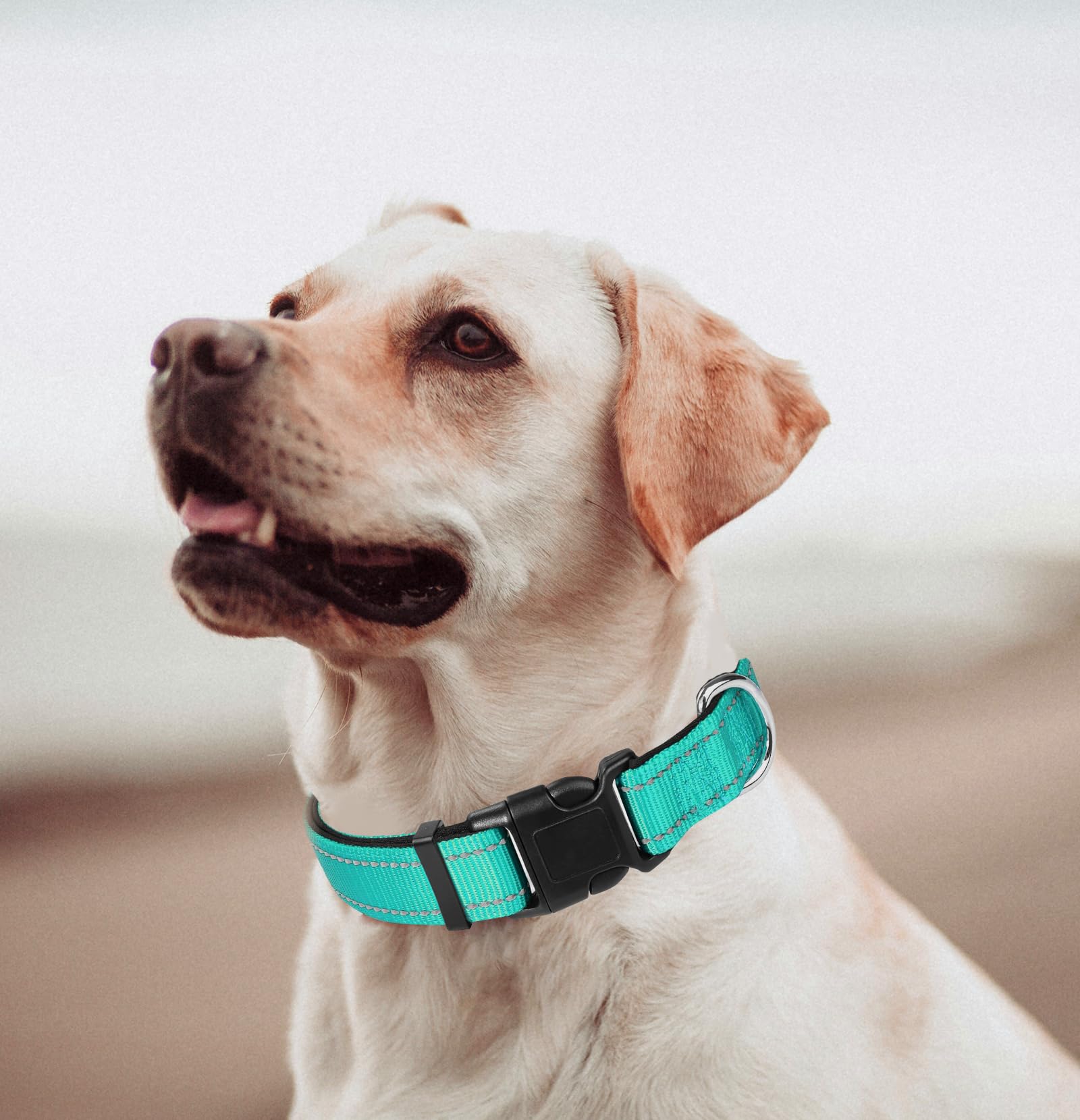 Xl Dog Collar, Reflective Pet Collar With Buckle Adjustable Safety Nylon Collars For Small Medium Large Dogs, Teal
