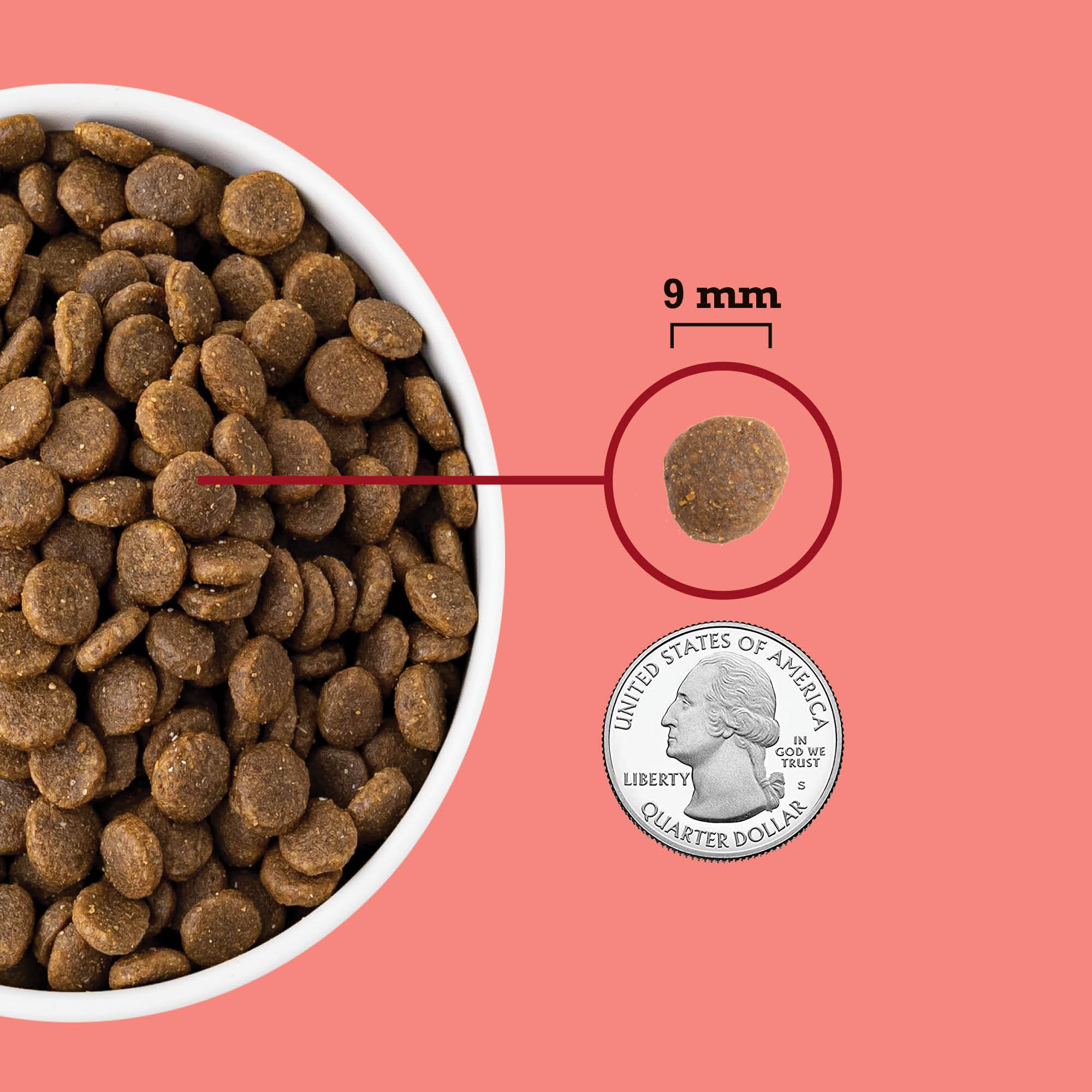 ACANA Indoor Cat 4LB