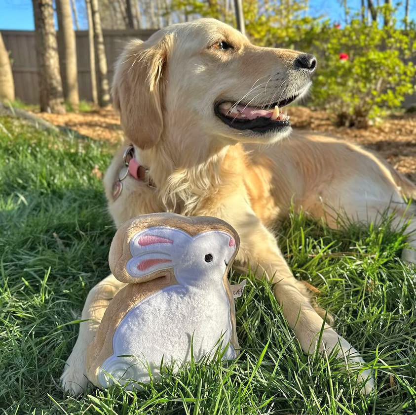 Midlee Sugar Cookie Easter Bunny Dog Toy (Large)
