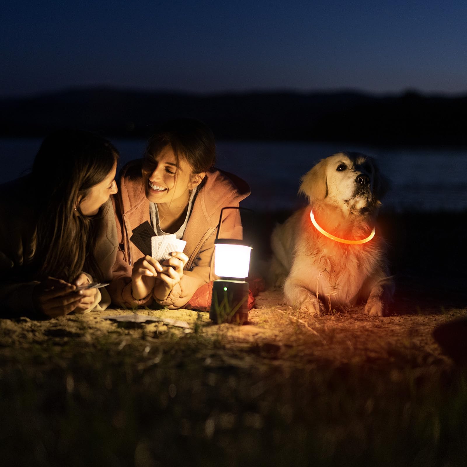 Higo Light Up Dog Collar Usb Rechargeable Led Dog Collar Glow In The Dark, Tpu Flash Dog Necklace Light Make Your Dogs Be Visibl