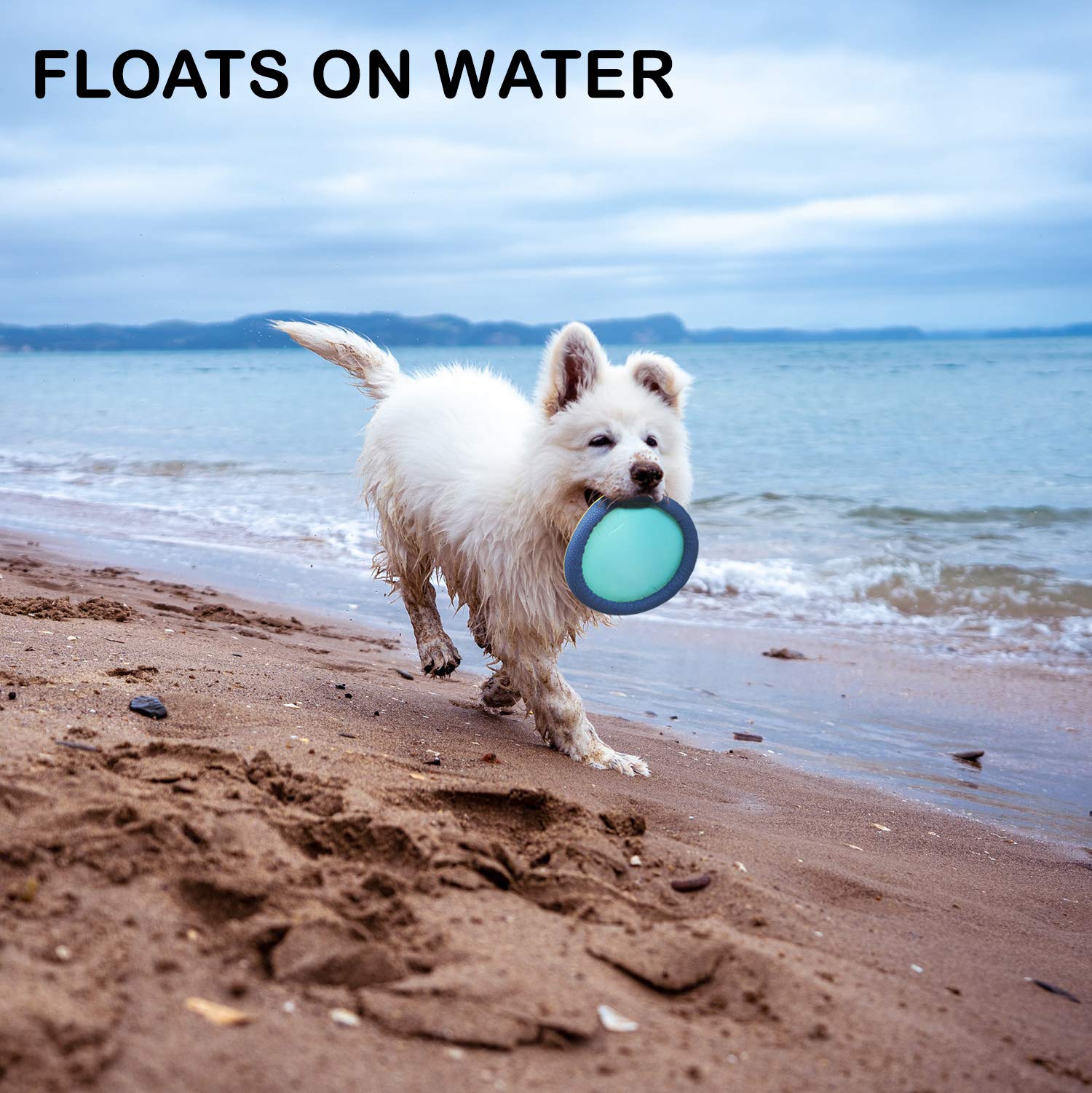Funsparks Easy Disk Dog Flying Disc - Interactive Dog Fetch Toy - Durable And Easy On The Teeth - Simple To Toss – Lightweight Puppy Toy - Floats On Water