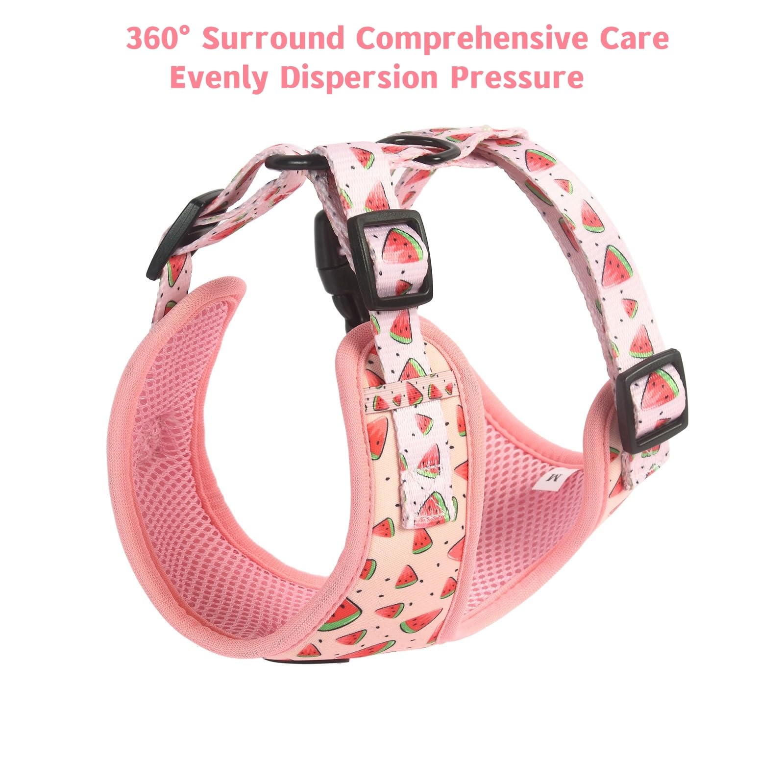Coowone Dog Harness And Leash Set, Adjustable Puppy Harness And Soft Padded Dog Vest Harness For Small Medium Large Dogs
