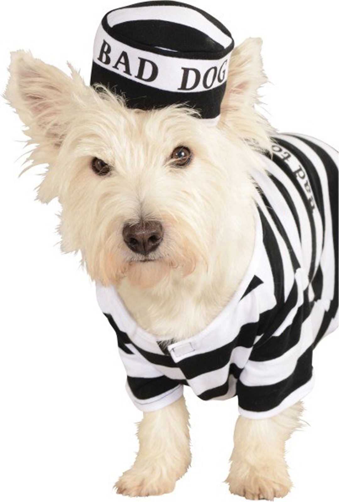 Rubie'S Pet Costume, Medium, Prisoner