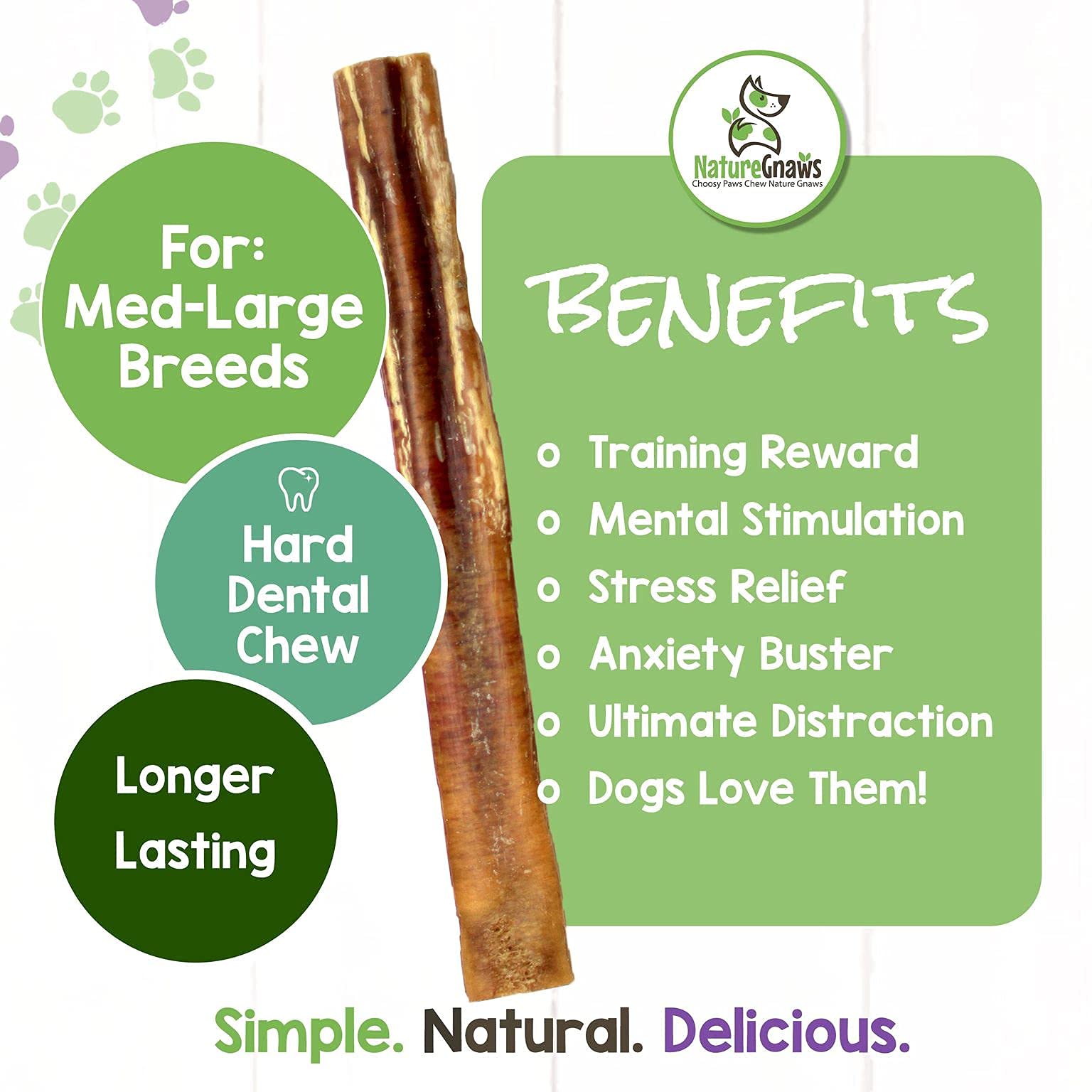 Nature Gnaws Extra Large Bully Sticks for Dogs - Premium Natural Beef Dental Bones - Thick Long Lasting Dog Chew Treats for Aggr