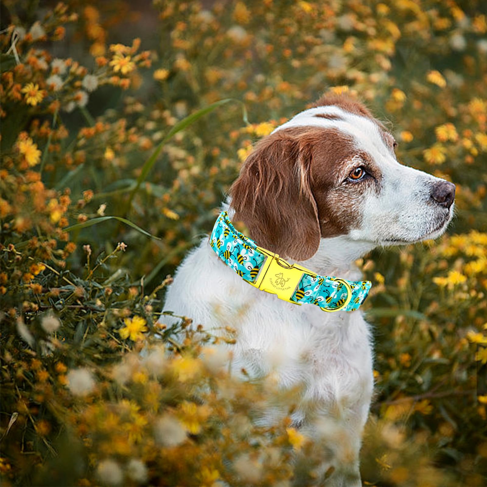 Elegant Little Tail Summer Pet Collar, Durable Bees Print Dog Collar, M, 1 Inch Width, 13.5 Inch Length, Cotton, Unique Design,