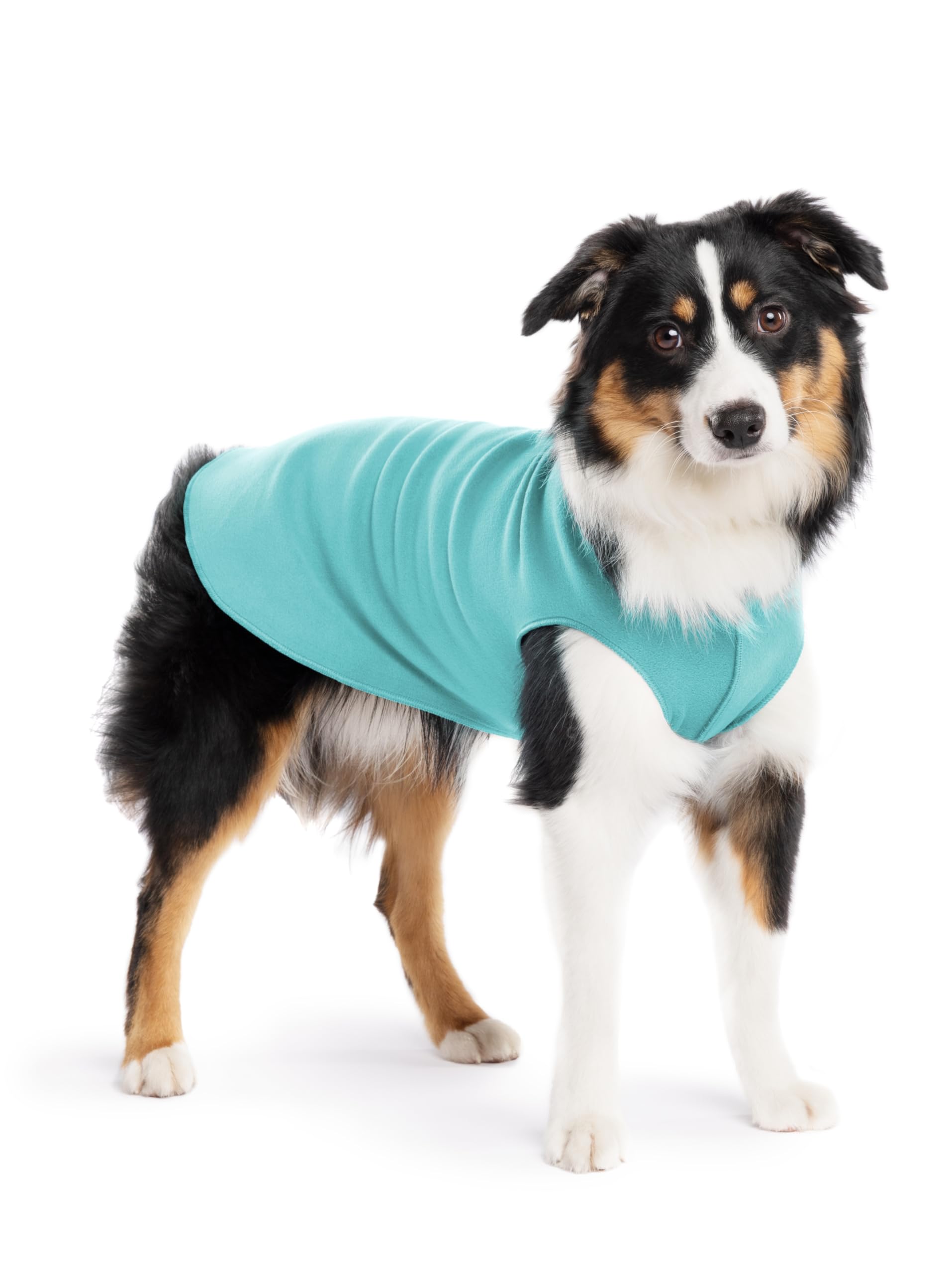 Gold Paw Stretch Fleece Dog Coat, Stretchy Pet Sweater, Machine Washable Pullover For Winter And Fall, Turquoise, 14