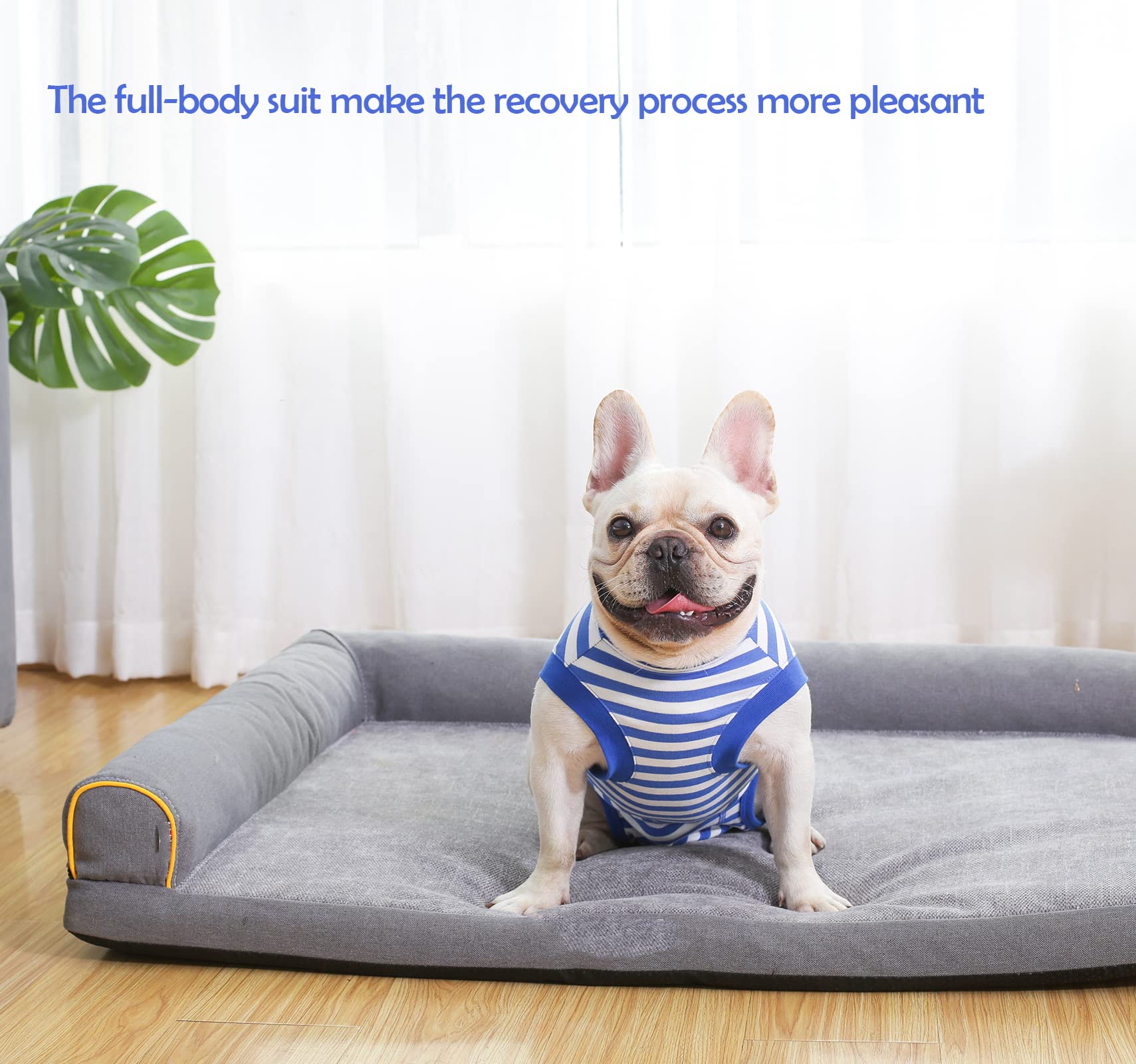 Sychien Dog Surgery Recovery Female Spay Suit, Surgeial Recovery Onesie For Xxx-Large Female Spaying Recovery,Blue 3Xl