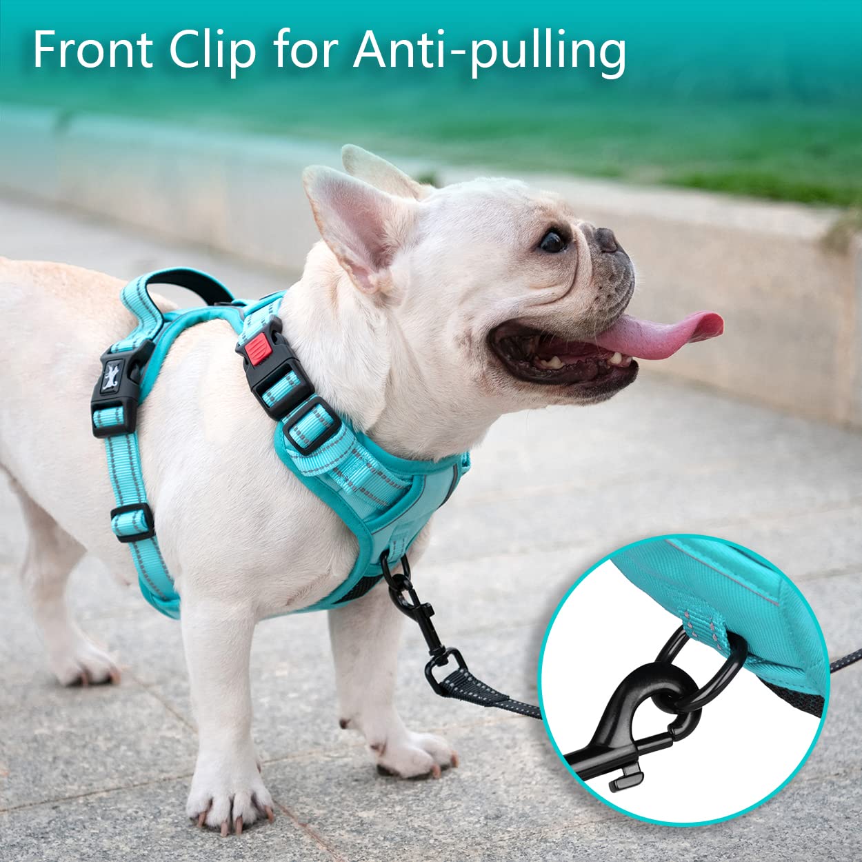 Poypet No Pull Dog Harness, No Choke Reflective Dog Vest, Adjustable Pet Harnesses With Easy Control Padded Handle For Small Medium Large Dogs(Mint Blue Matching Trim,L)