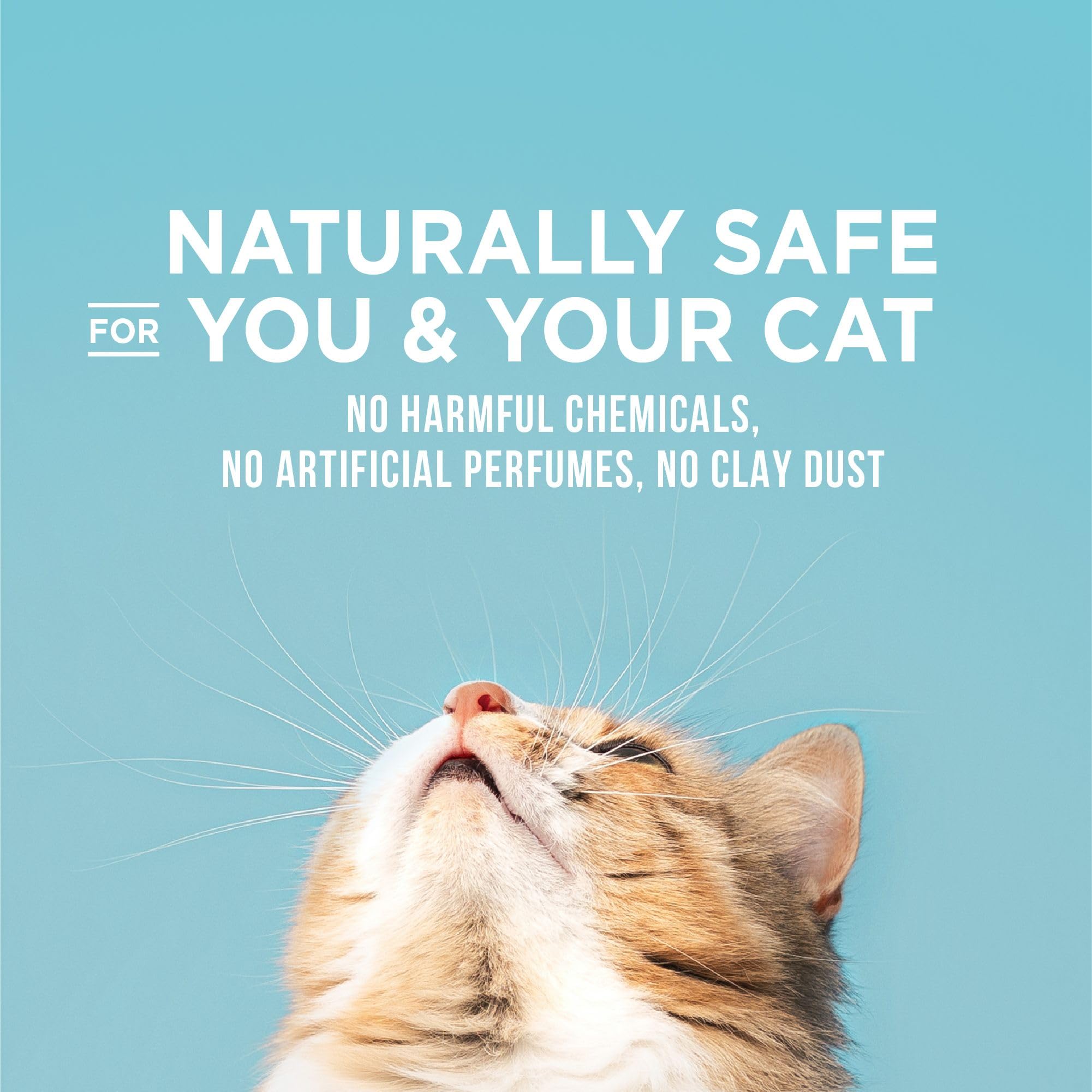 World'S Best Cat Litter Poop Fighter Maximum Odor Defense, 8-Pounds - Natural Ingredients, Quick Clumping, Flushable, 99% Dust Free & Made In Usa - Long-Lasting Odor Control & Easy Scooping