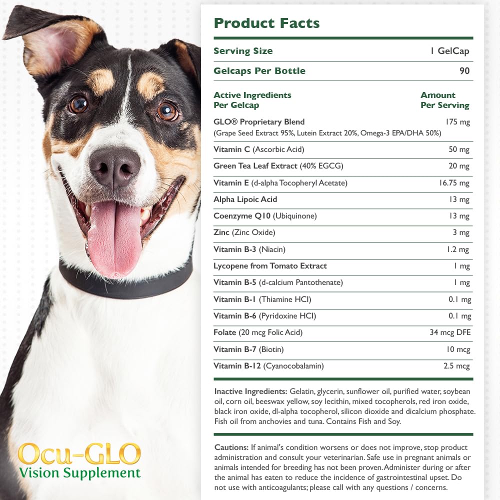Ocu-GLO Canine Vision Supplement for Small Dogs 10 lb and Under-90 Liquid Gel Caps