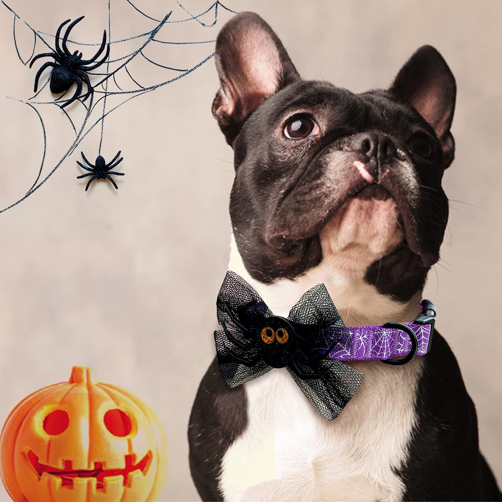 Azuza Halloween Dog Collars With Bow Cute Sequined Spider Purple Dog Collar With Lace Bow Tie Gifts On Halloween For Medium Dogs